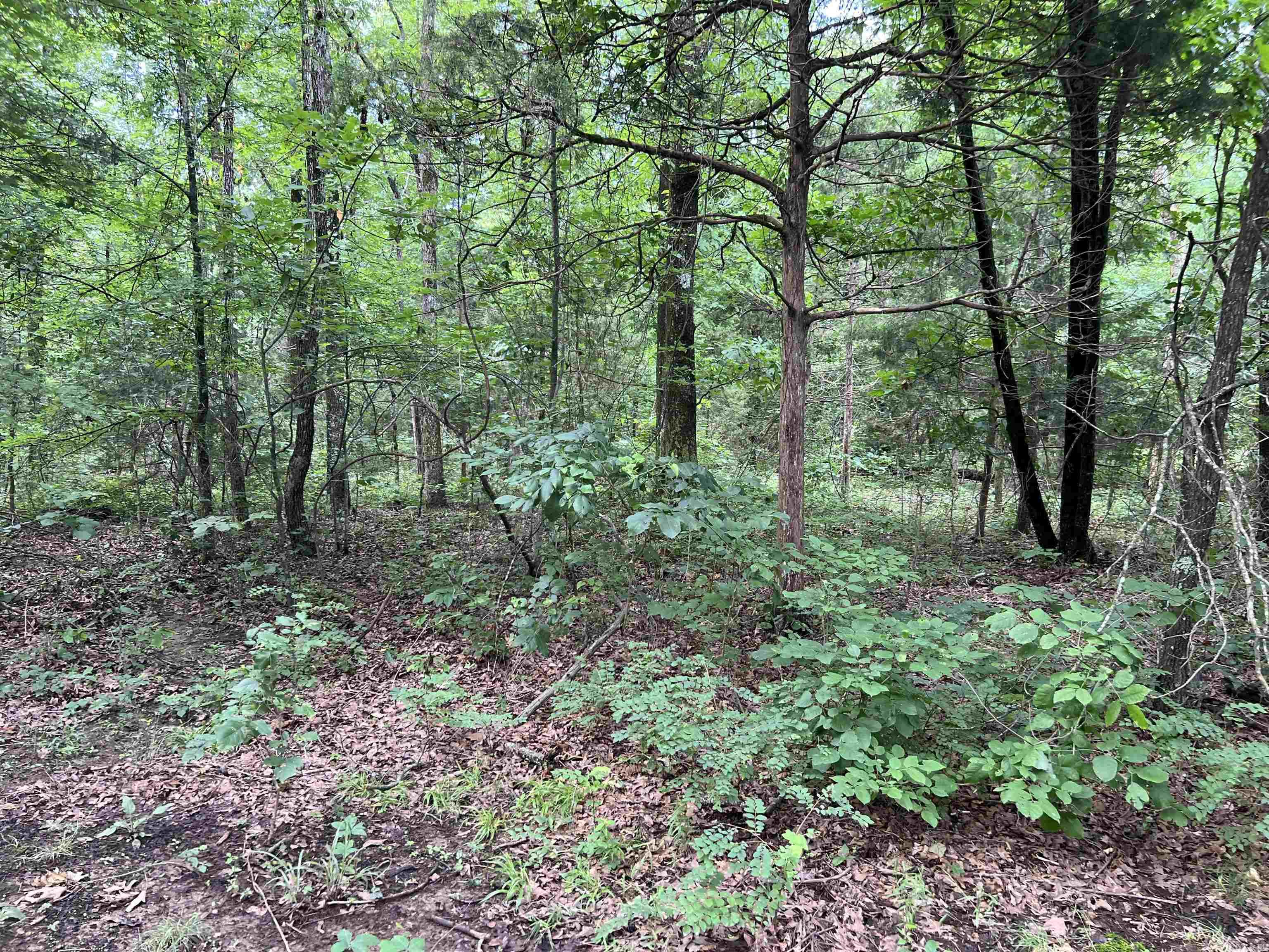 526 Iron Mountain  Mountain View, AR