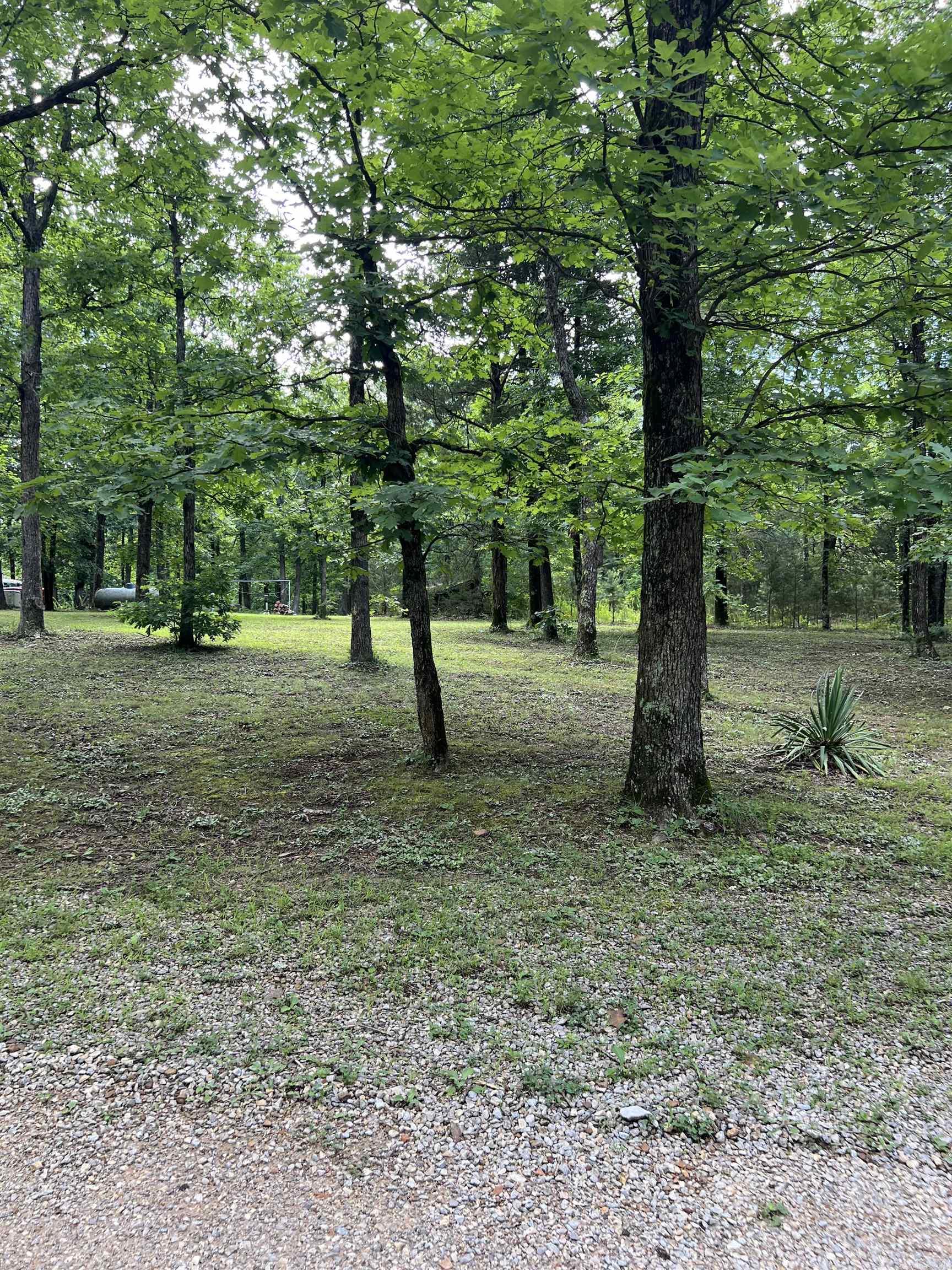 526 Iron Mountain  Mountain View, AR