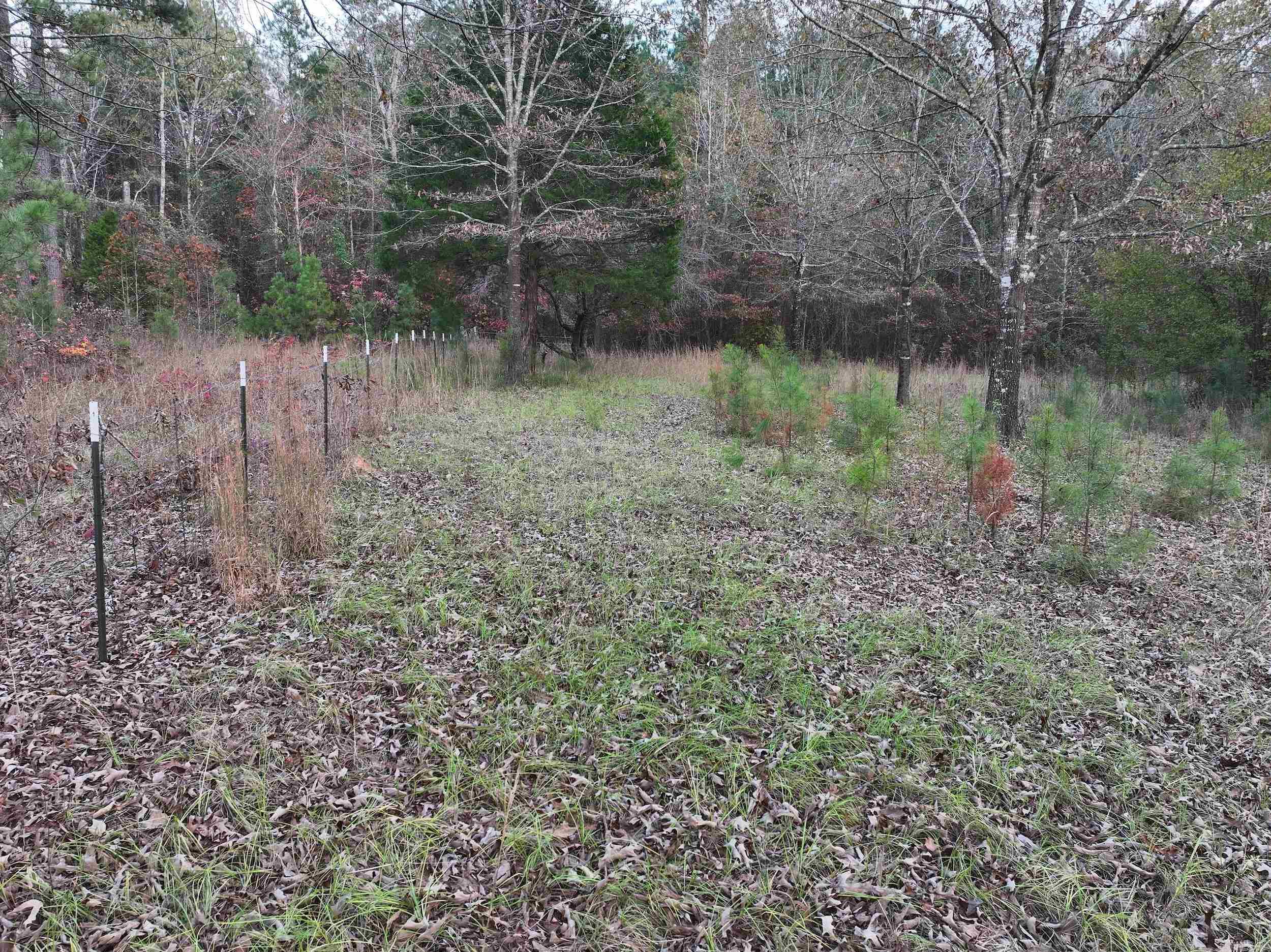 718 Southfork  Gurdon, AR