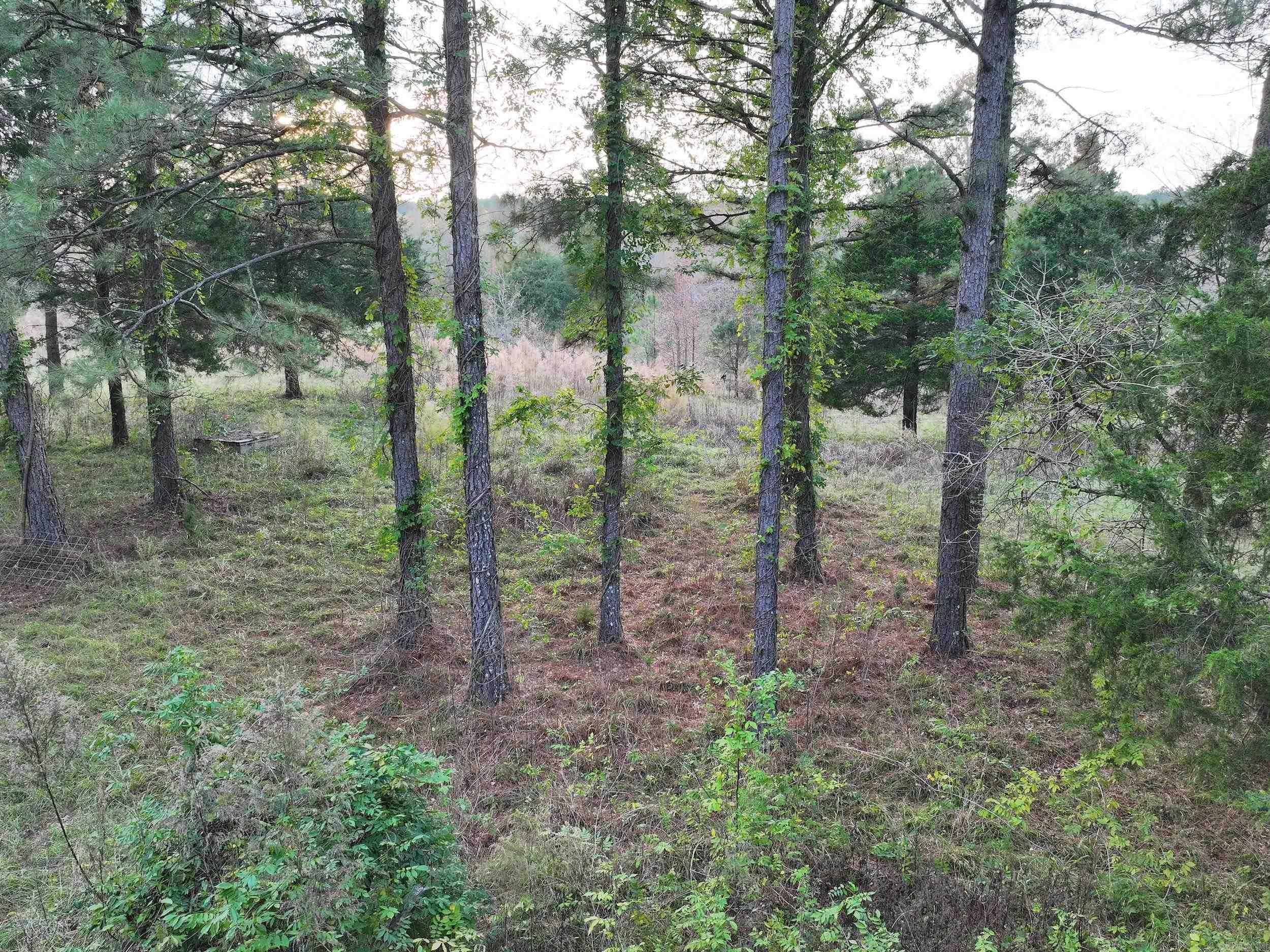 718 Southfork  Gurdon, AR