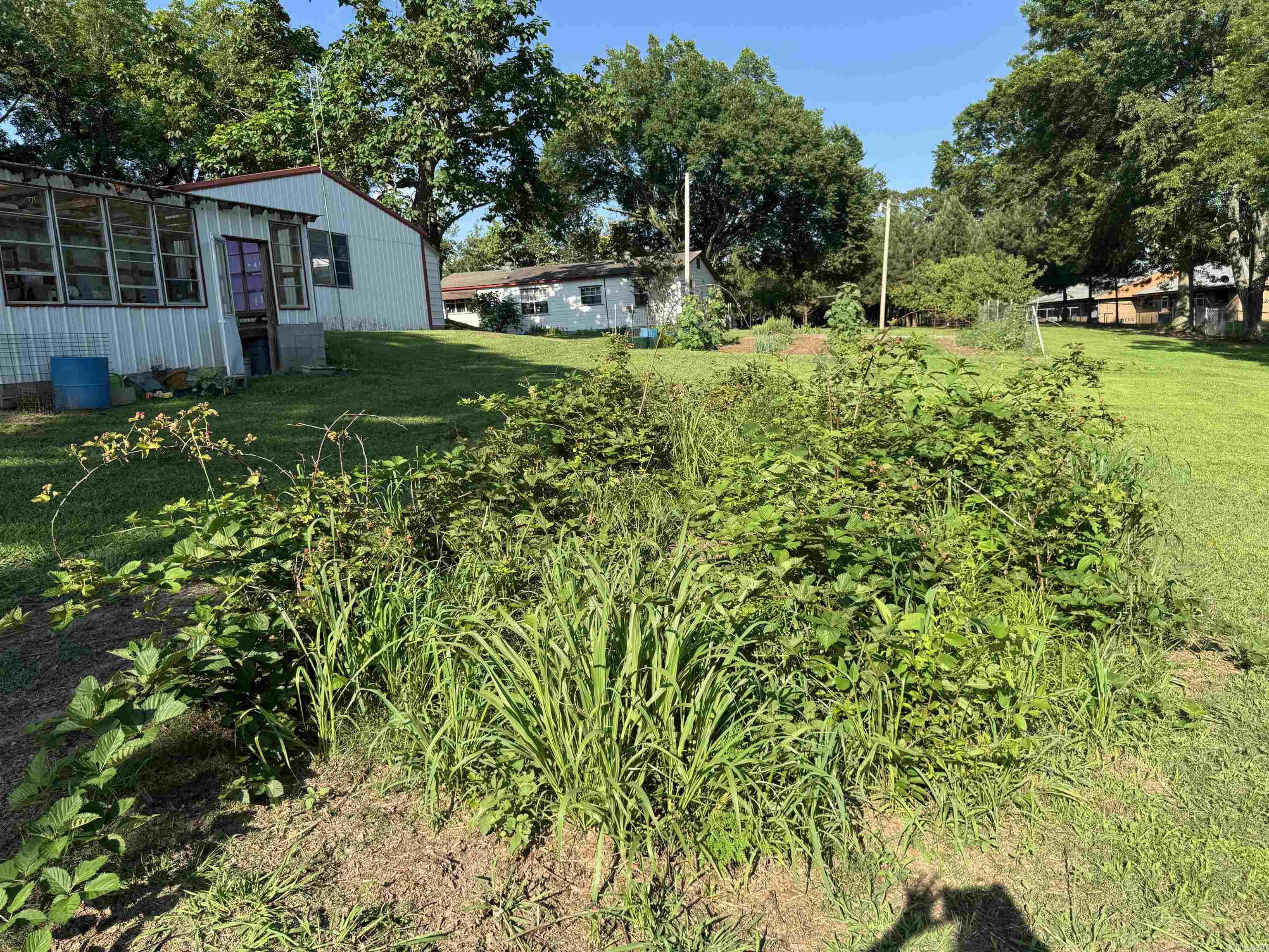 7498 US HWY 71 S  Wickes, AR