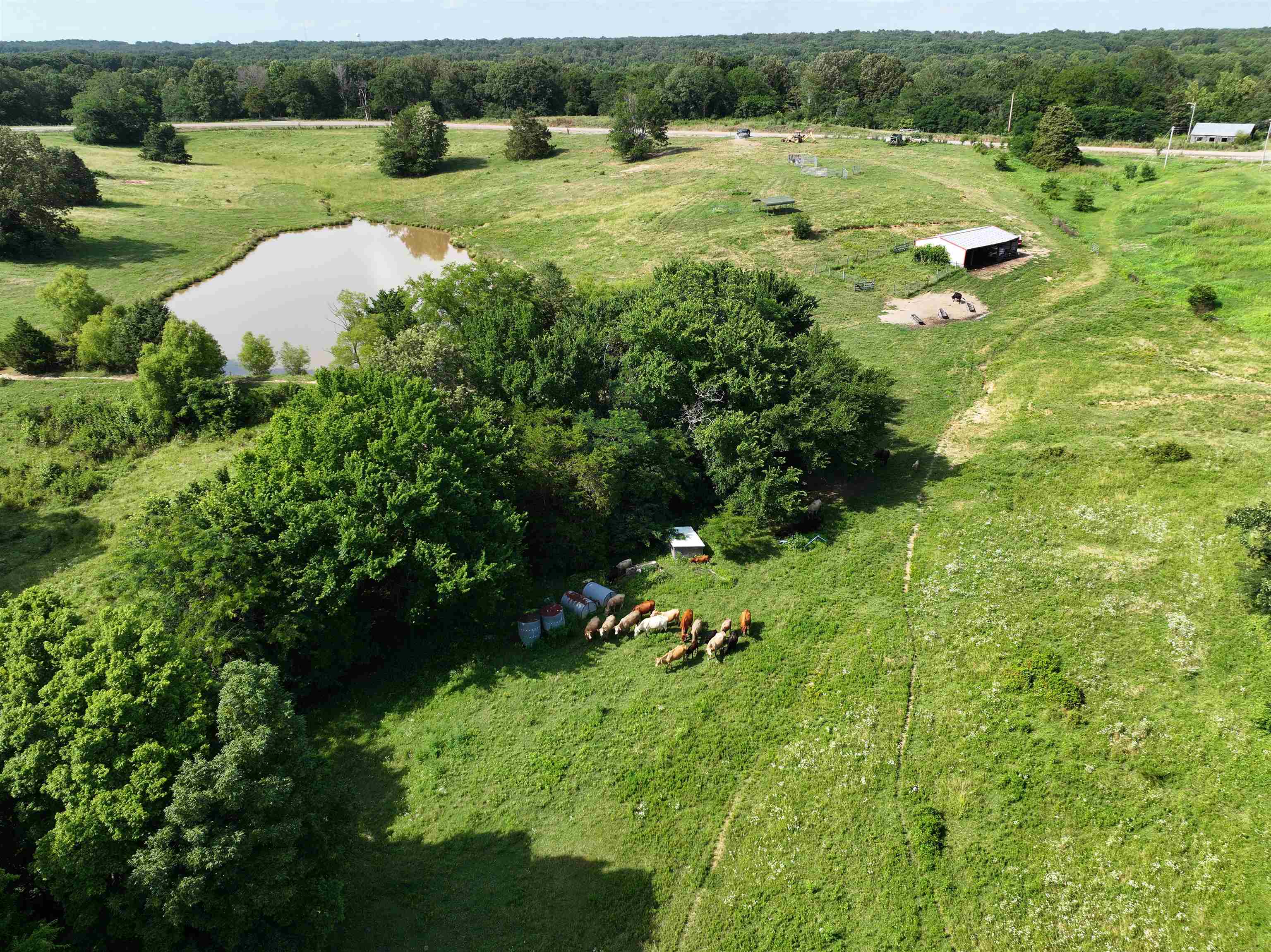 85 County Road  Wynne, AR