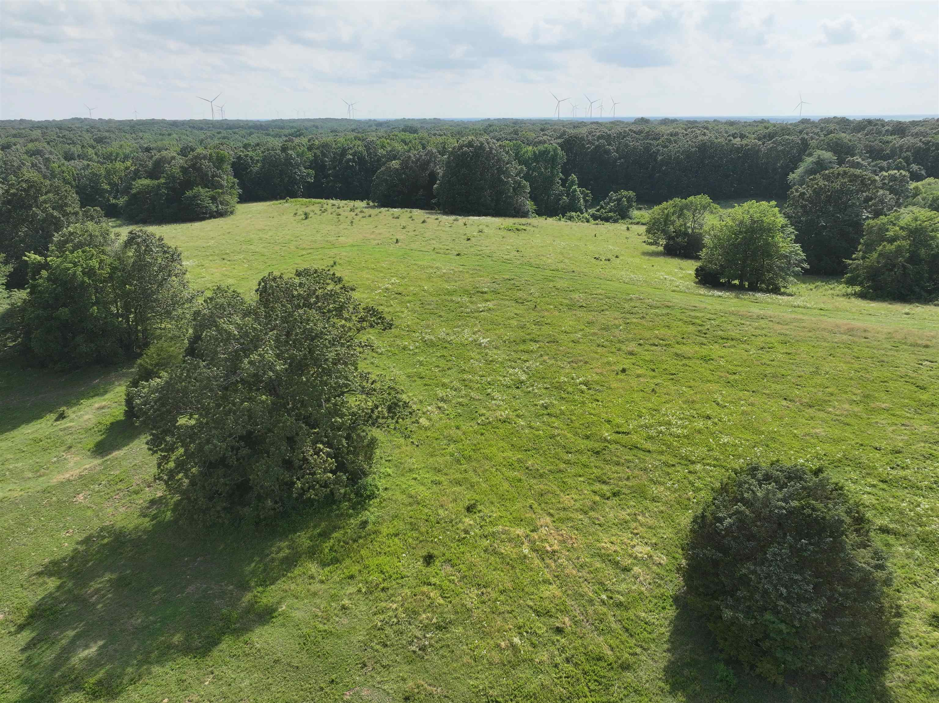 85 County Road  Wynne, AR