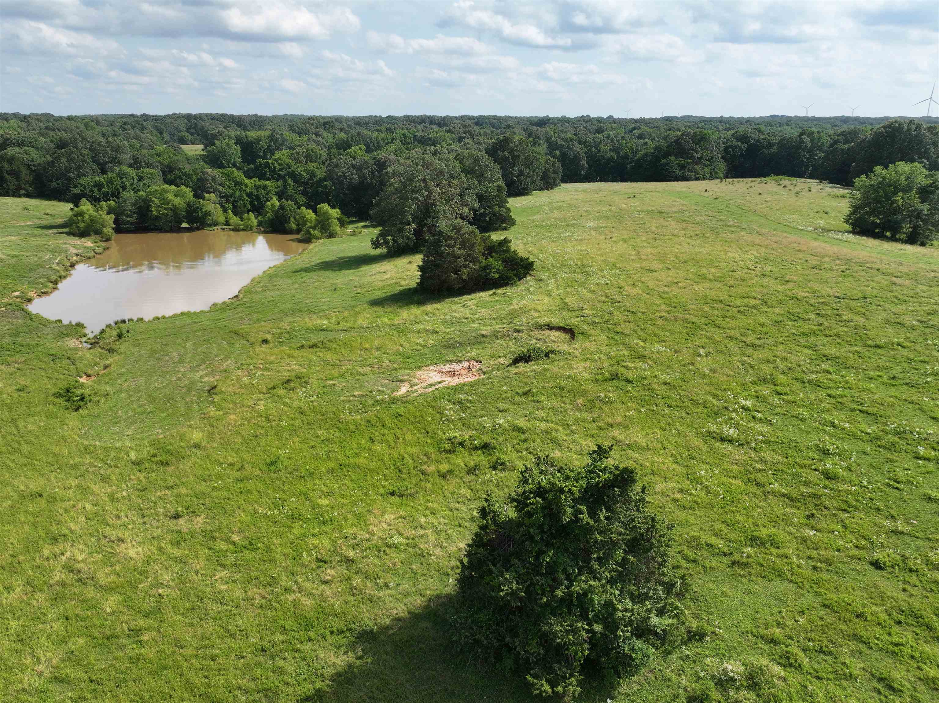 85 County Road  Wynne, AR