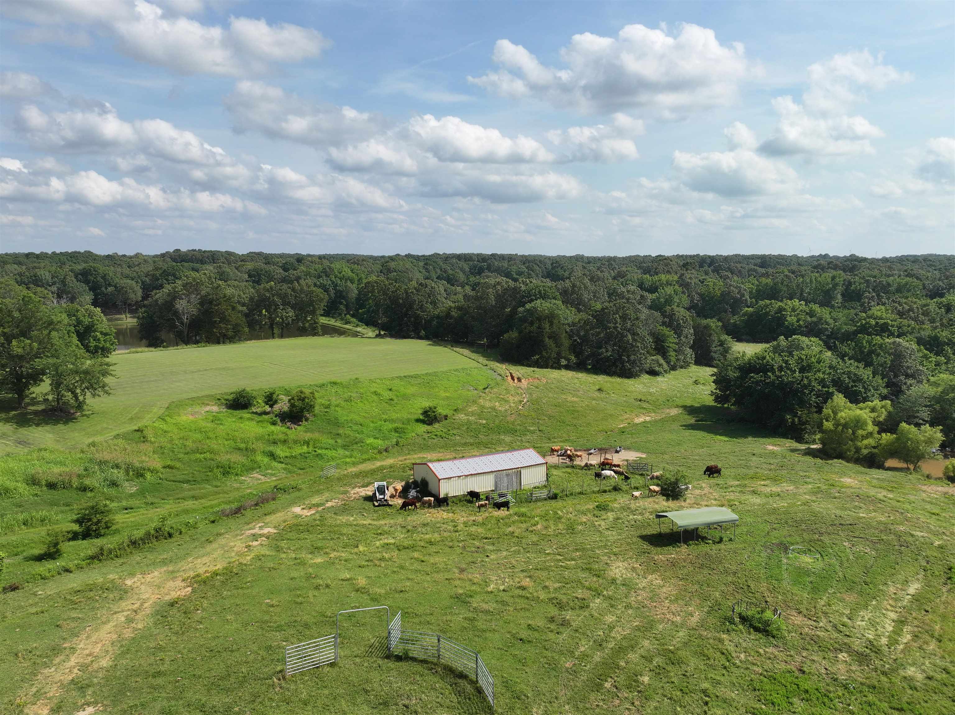 85 County Road  Wynne, AR