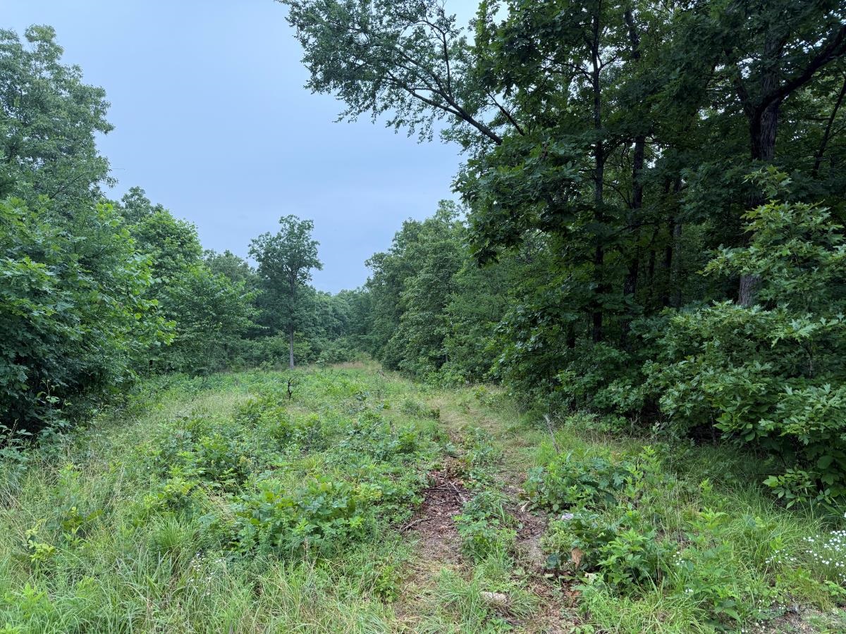 00 Browns Creek Road  Ravenden, AR