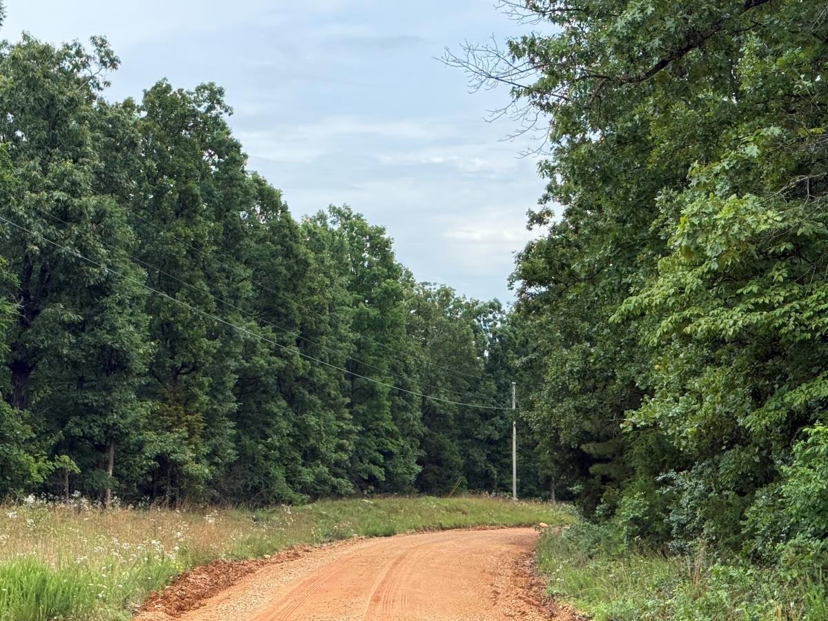 00 Browns Creek Road  Ravenden, AR
