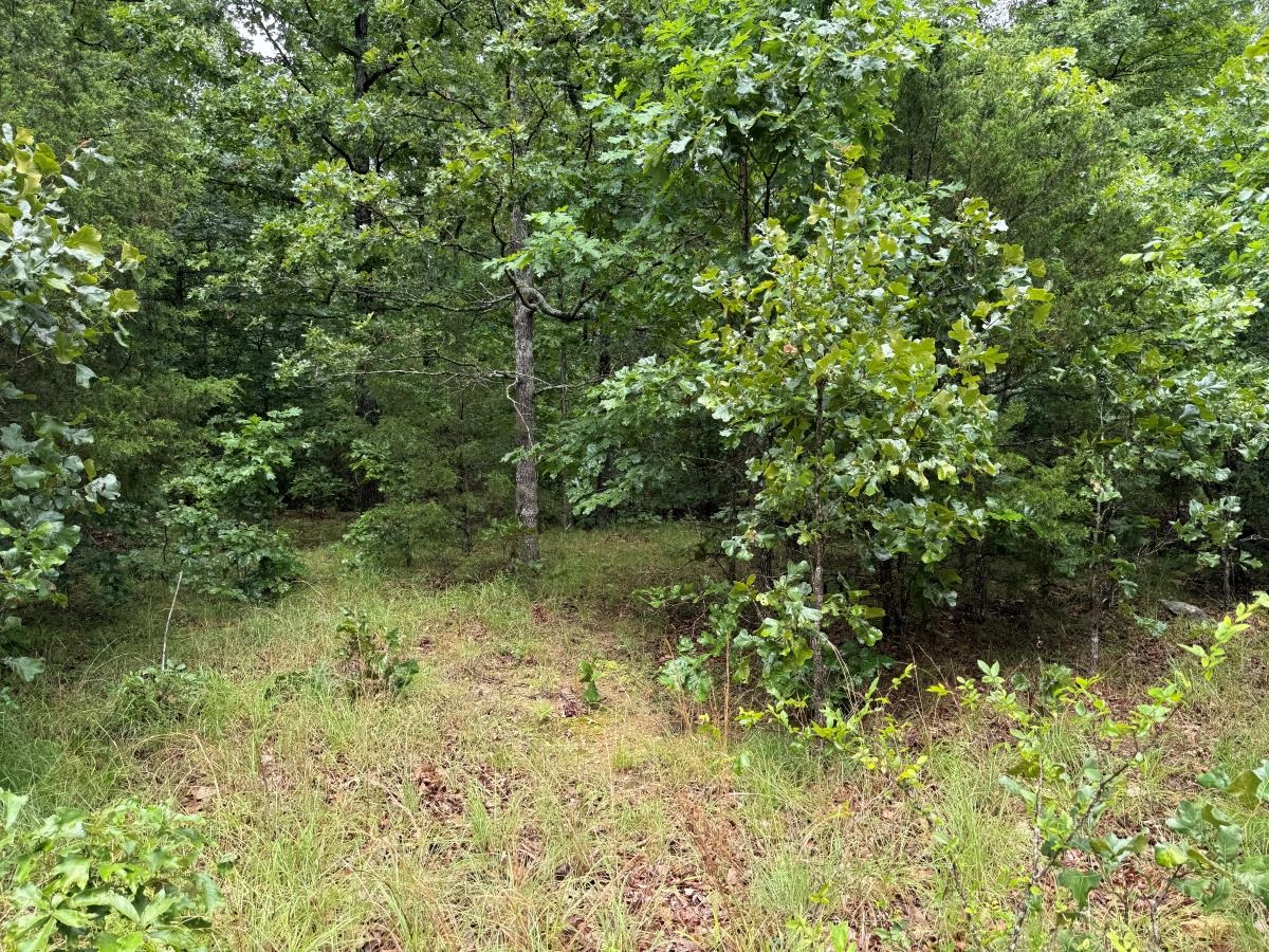 00 Browns Creek Road  Ravenden, AR