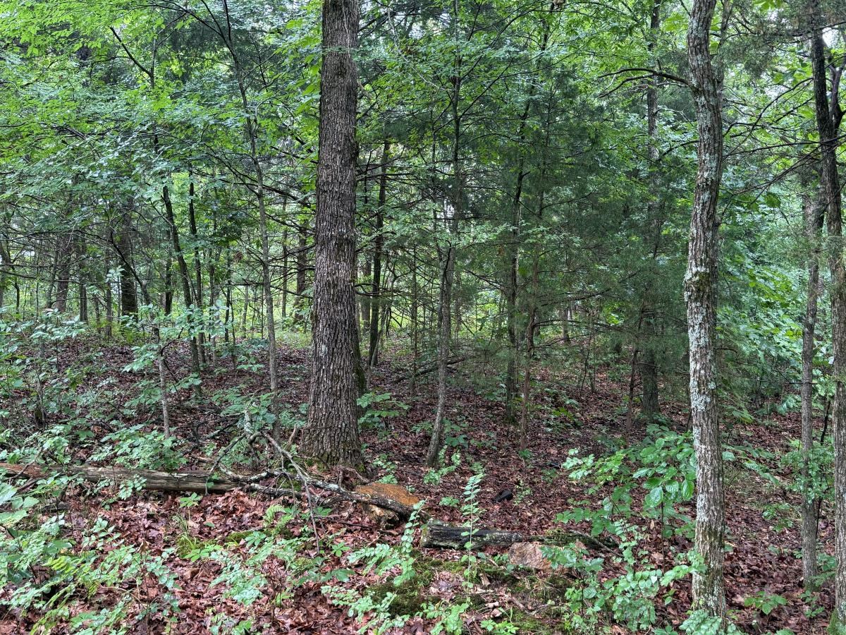 00 Browns Creek Road  Ravenden, AR