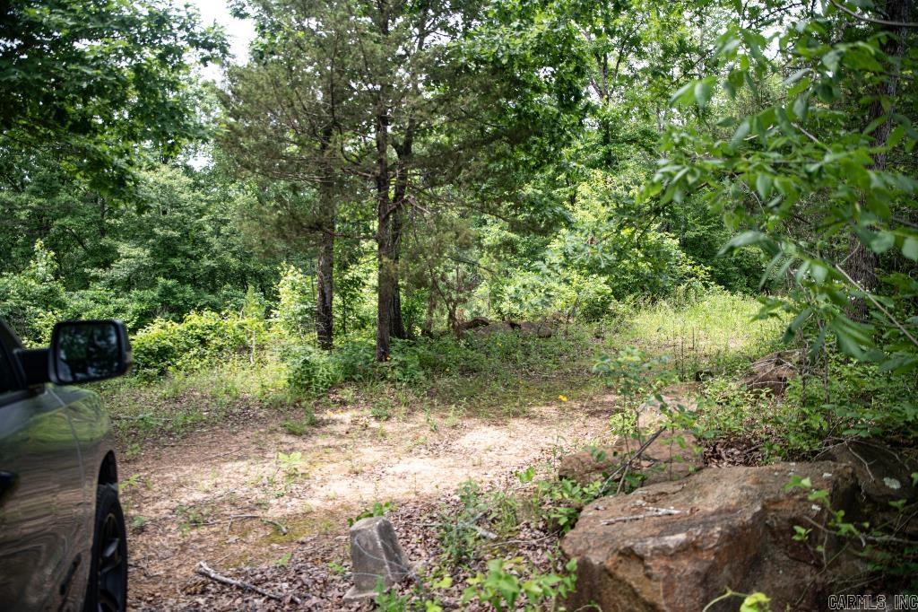  0000-04932-0000  Shirley, AR
