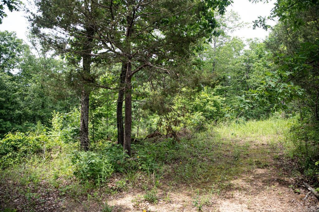  0000-04932-0000  Shirley, AR
