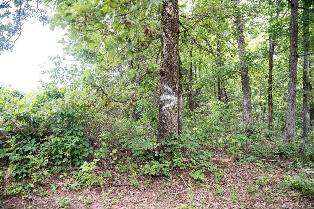  0000-04932-0000  Shirley, AR