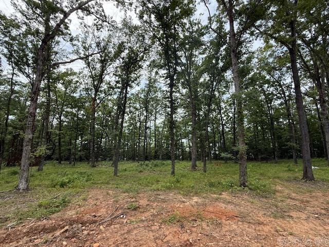 35 Elrod Drive  Greers Ferry, AR