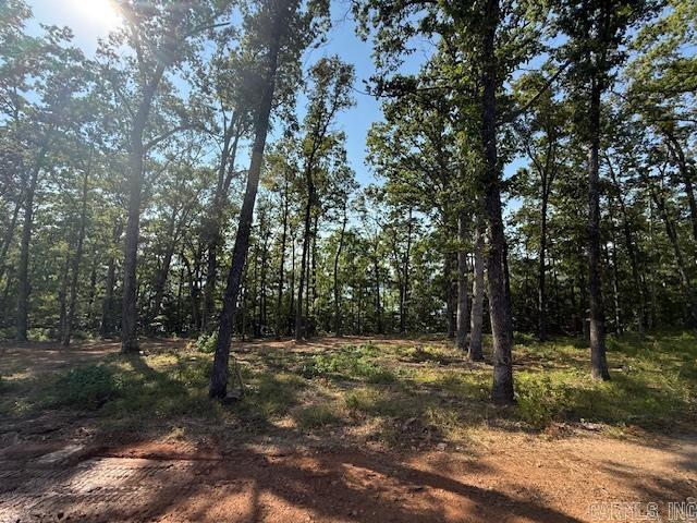 35 Elrod Drive Greers Ferry, AR 72067