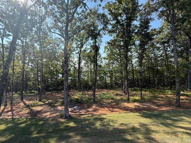 35 Elrod Drive Greers Ferry, AR 72067