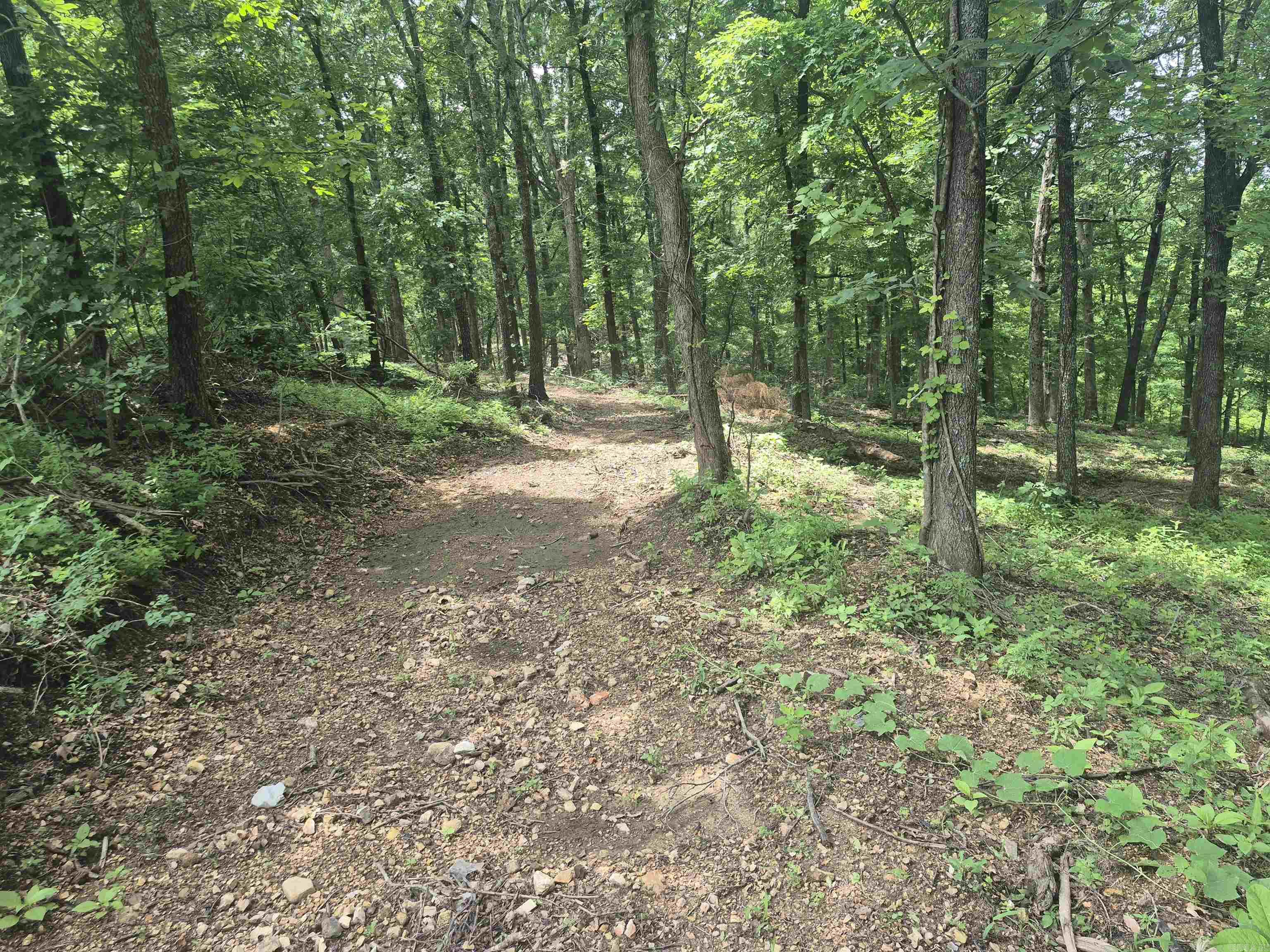 18195 N Hwy 65  Saint Joe, AR