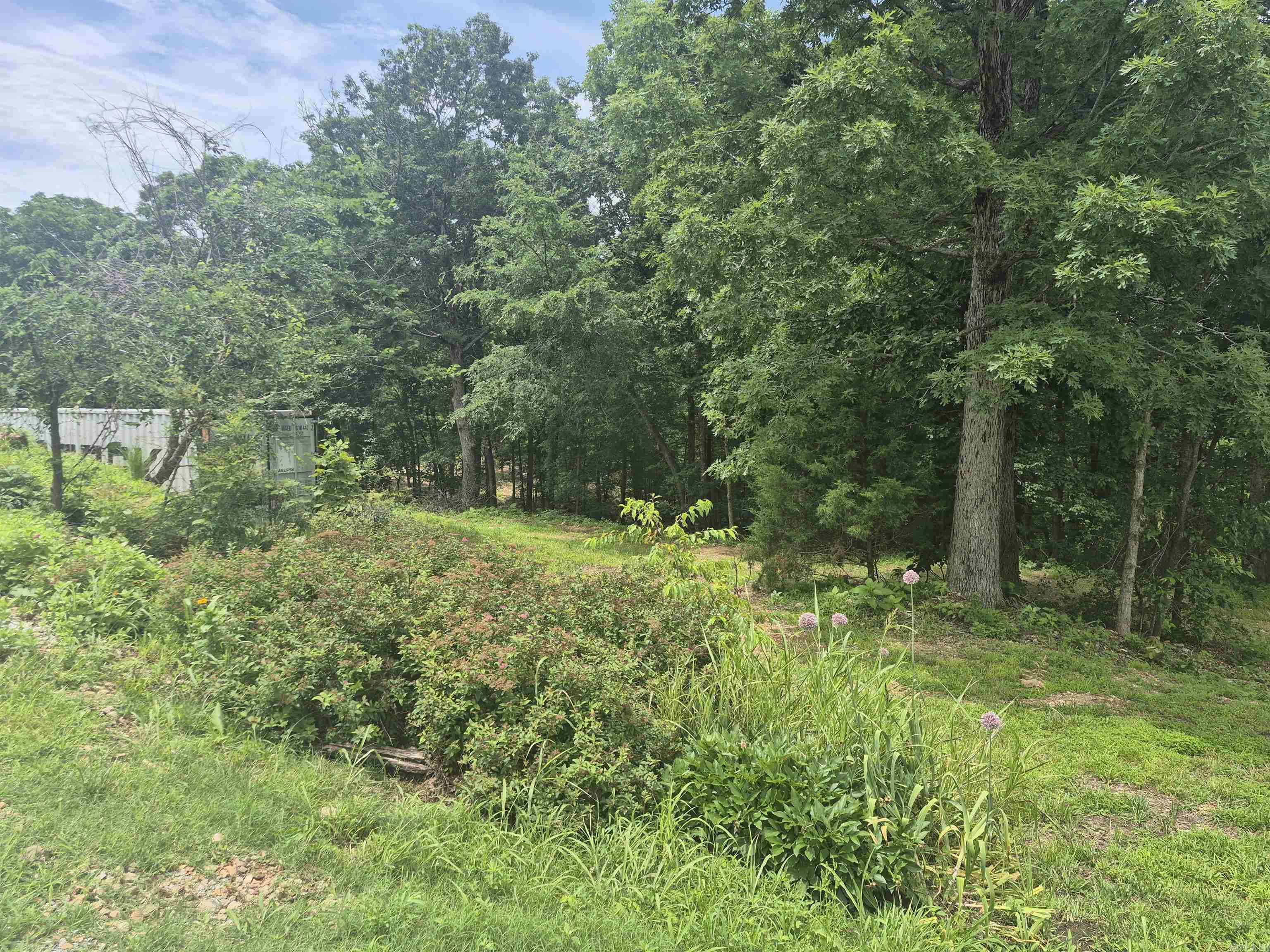 18195 N Hwy 65  Saint Joe, AR
