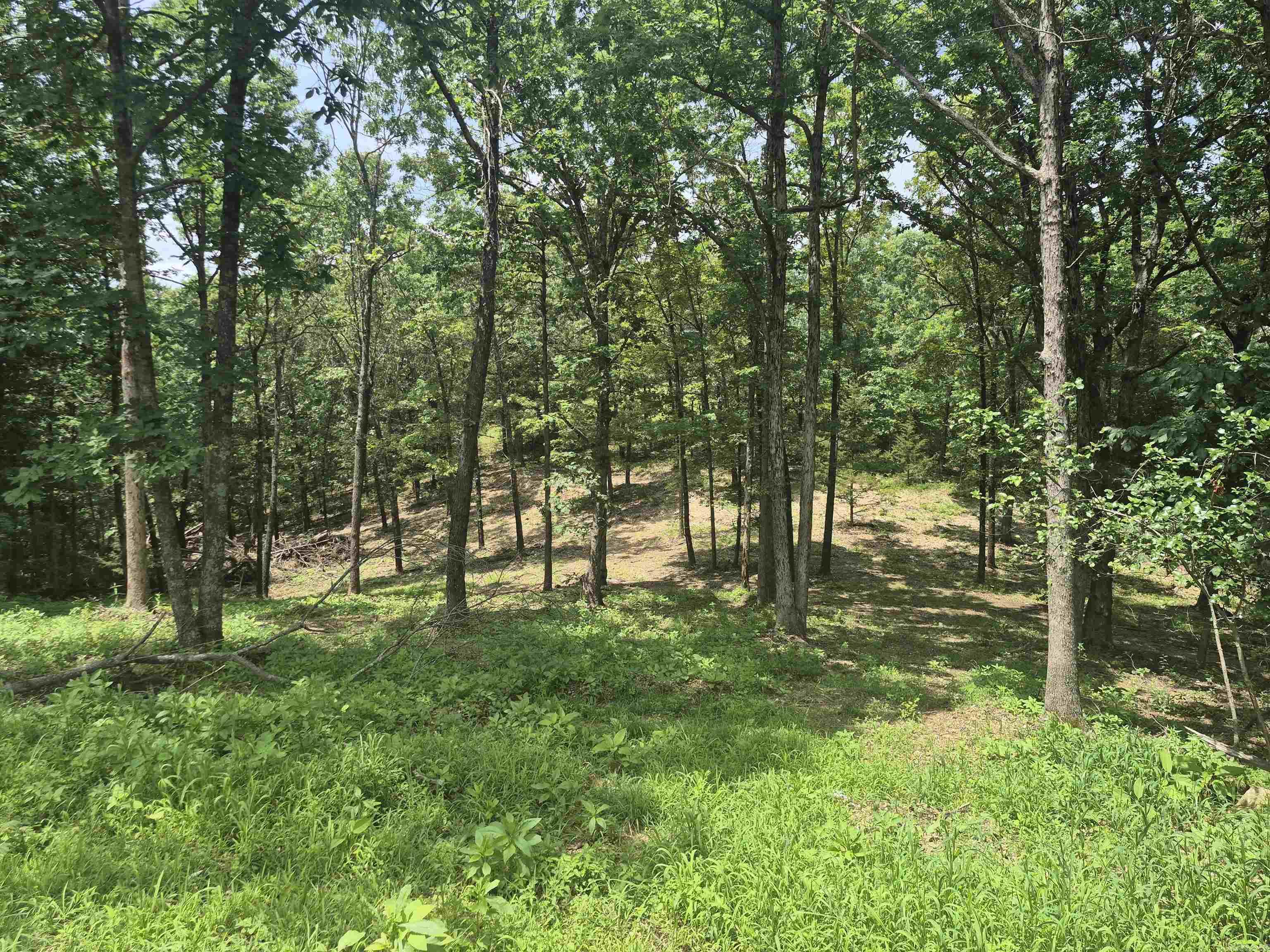 18195 N Hwy 65  Saint Joe, AR