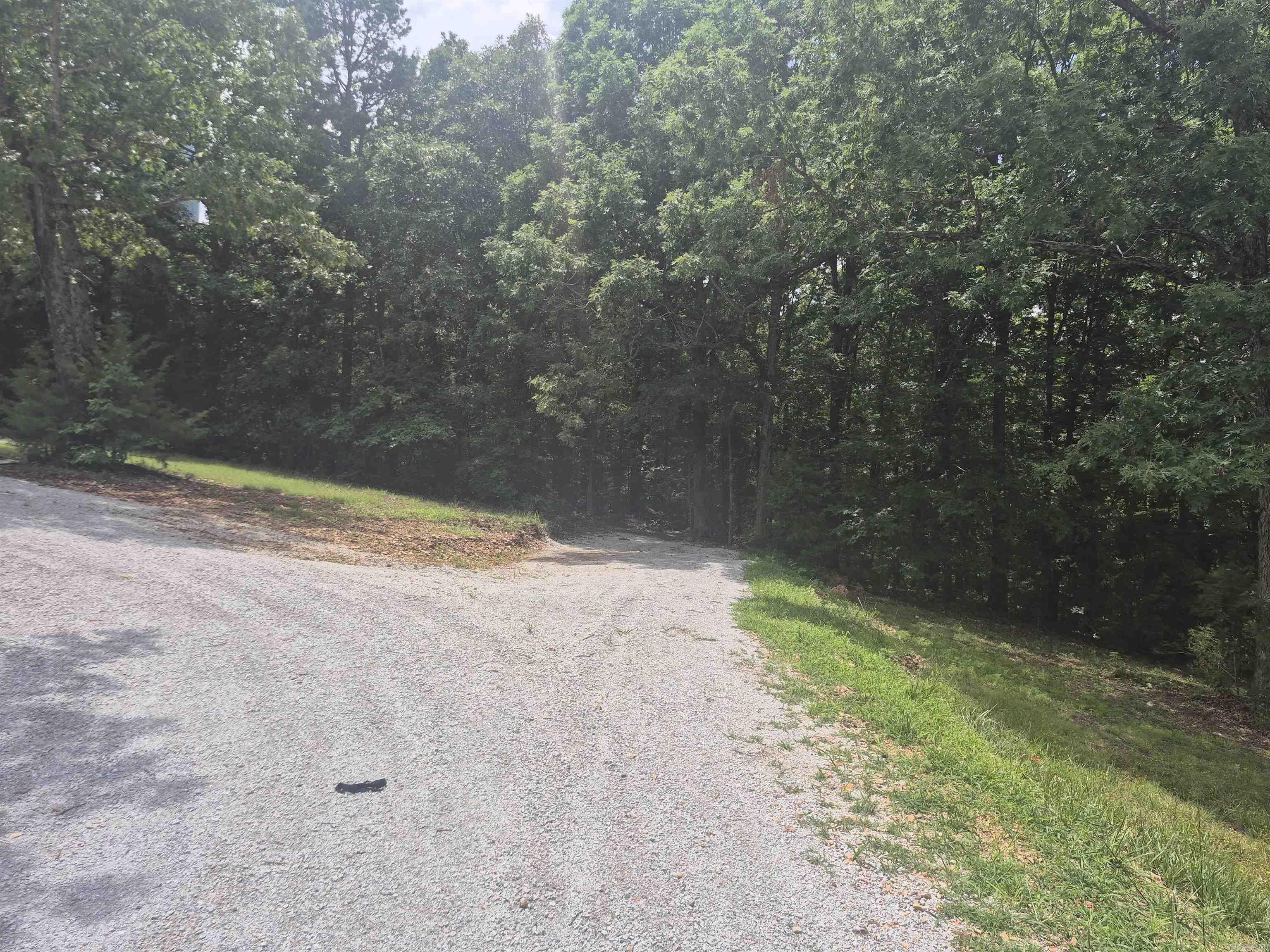 18195 N Hwy 65  Saint Joe, AR