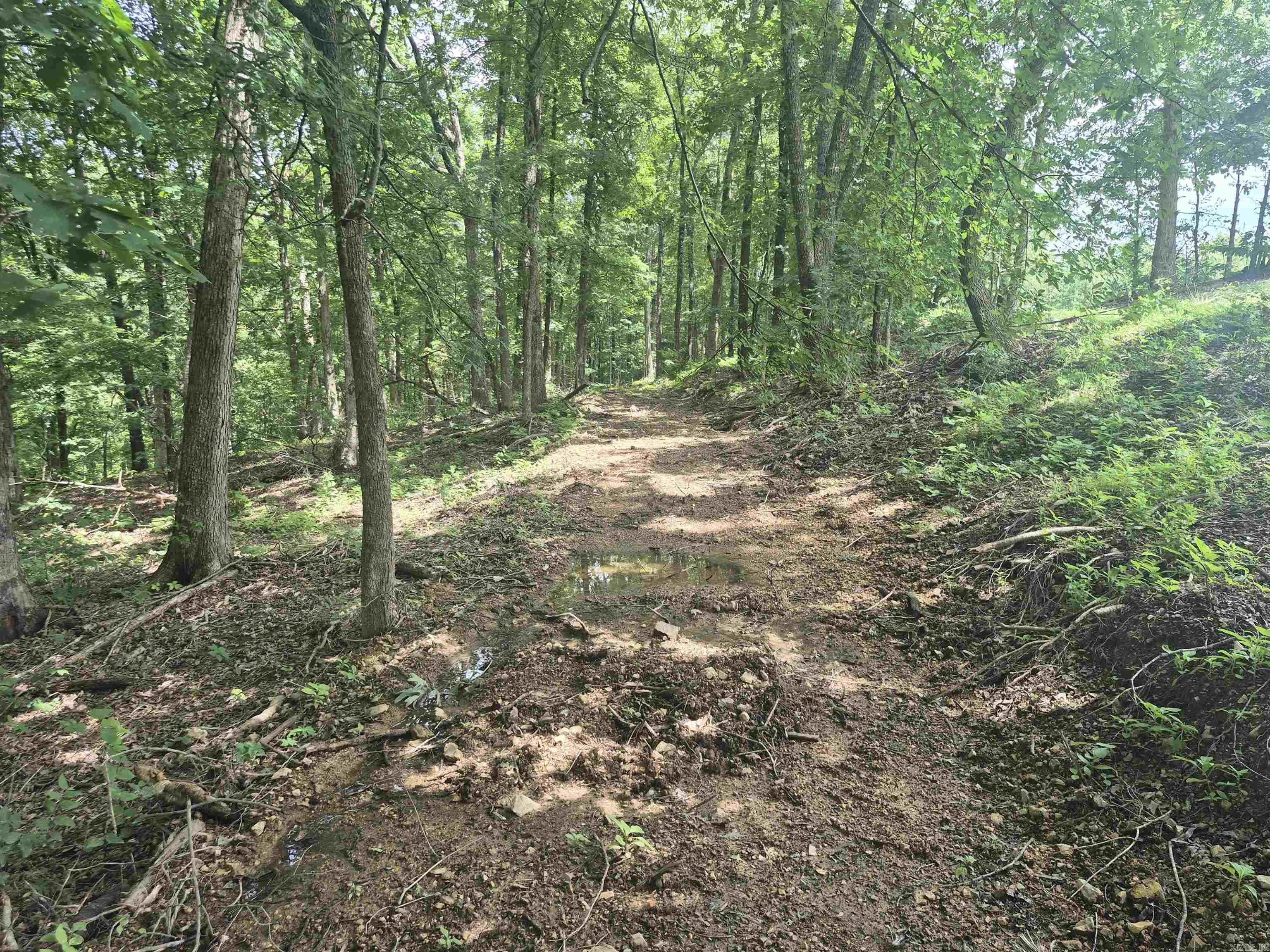 18195 N Hwy 65  Saint Joe, AR
