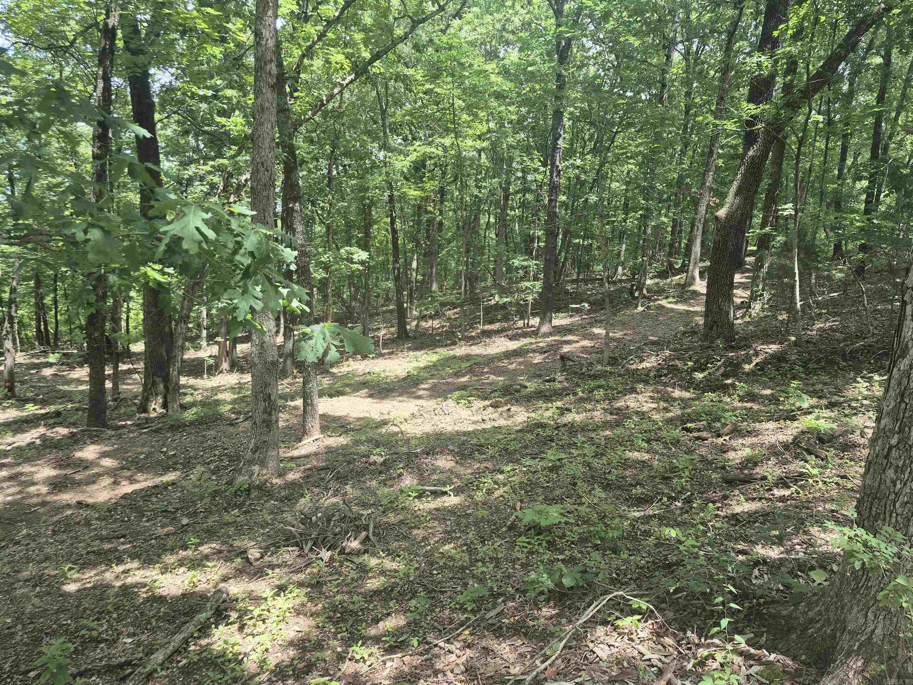 18195 N Hwy 65  Saint Joe, AR