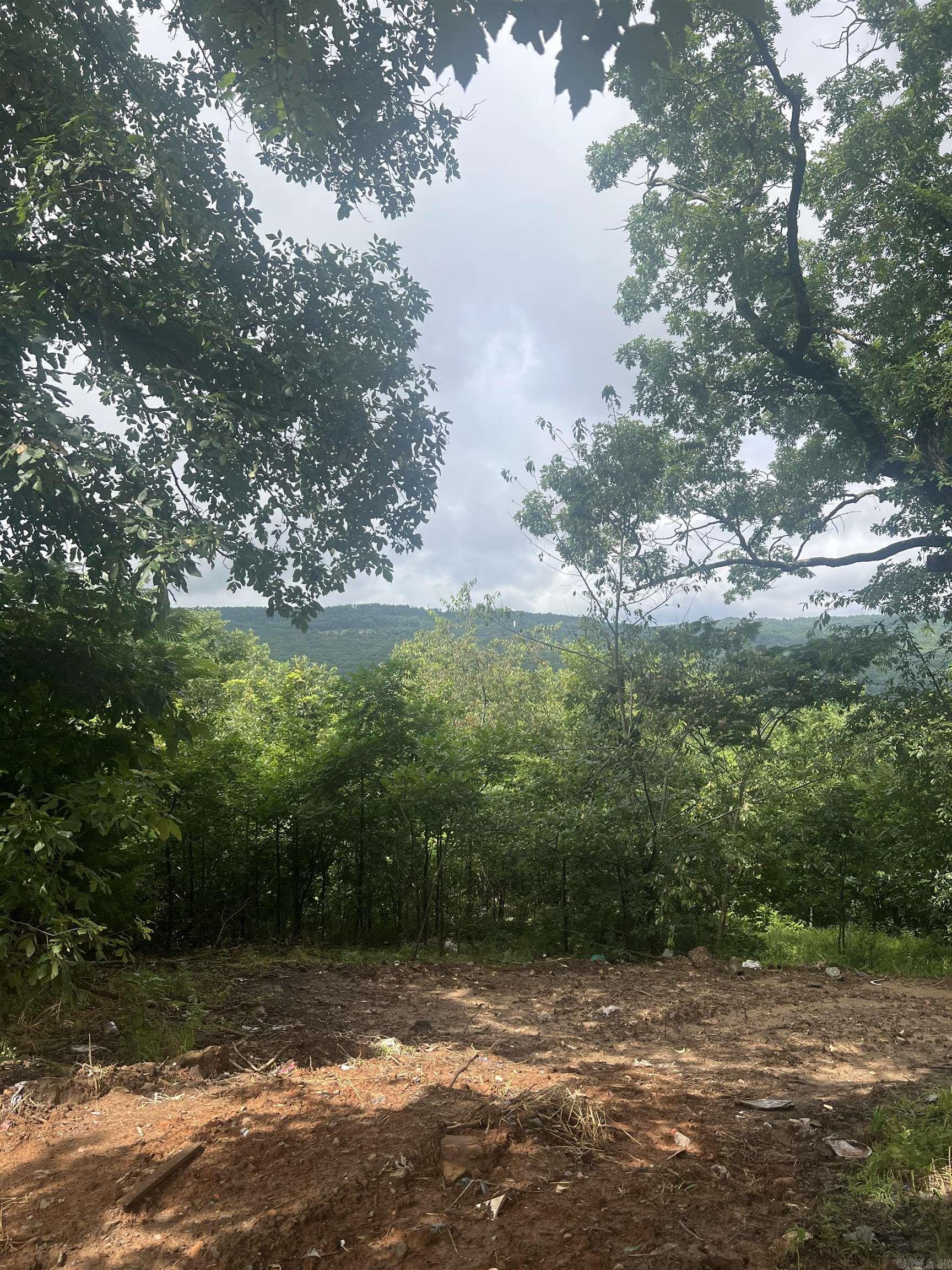 3632 Oyler Road  Clinton, AR