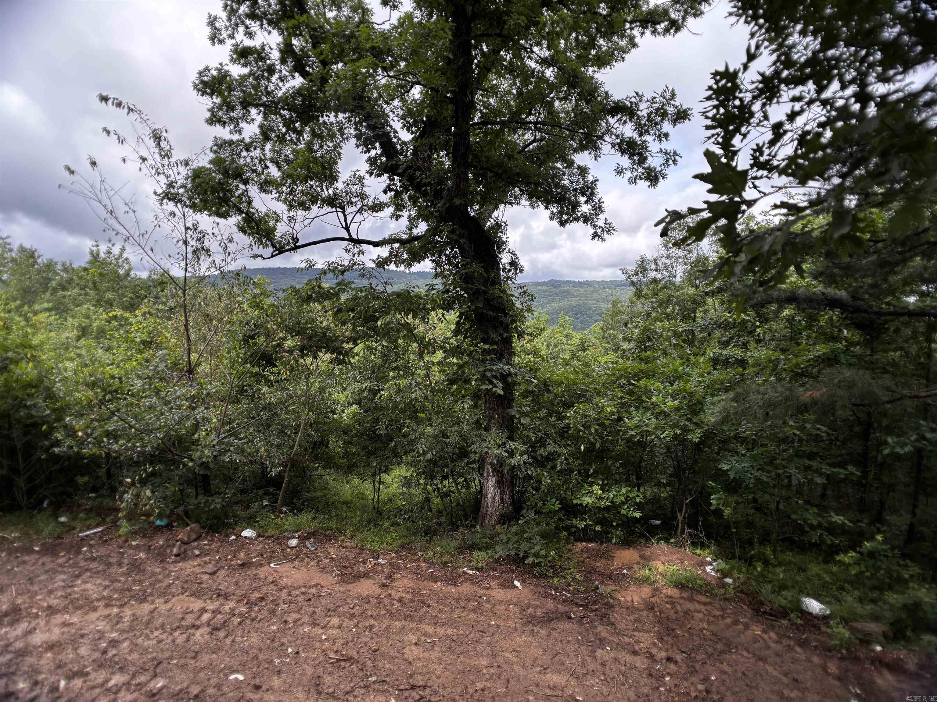 3632 Oyler Road  Clinton, AR