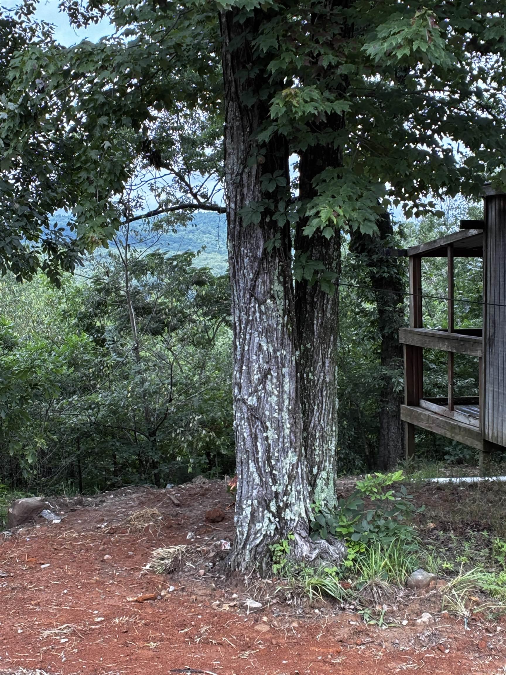 3632 Oyler Road  Clinton, AR