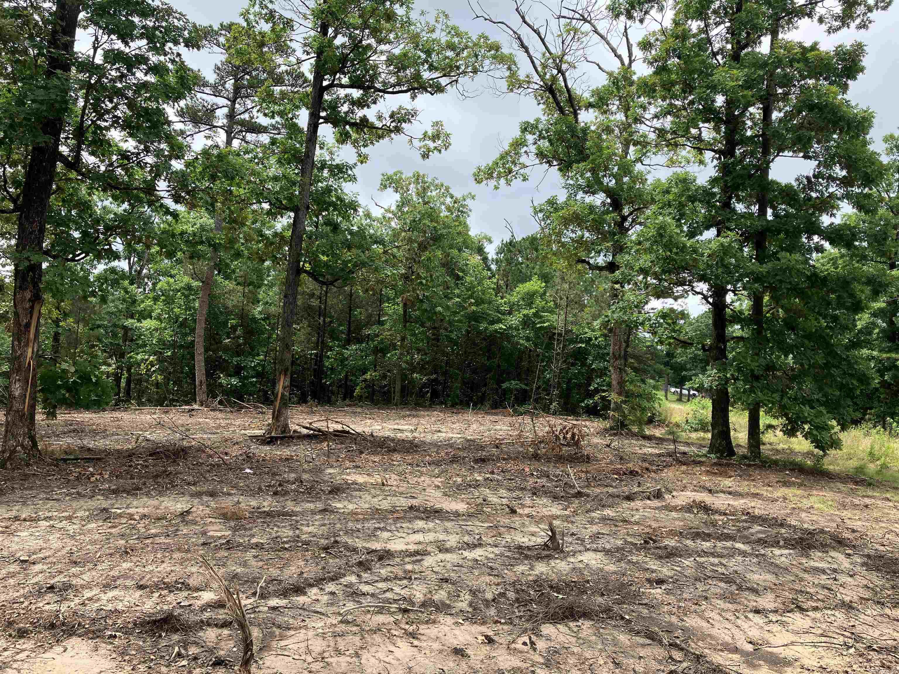 533 Eagle View  Clinton, AR