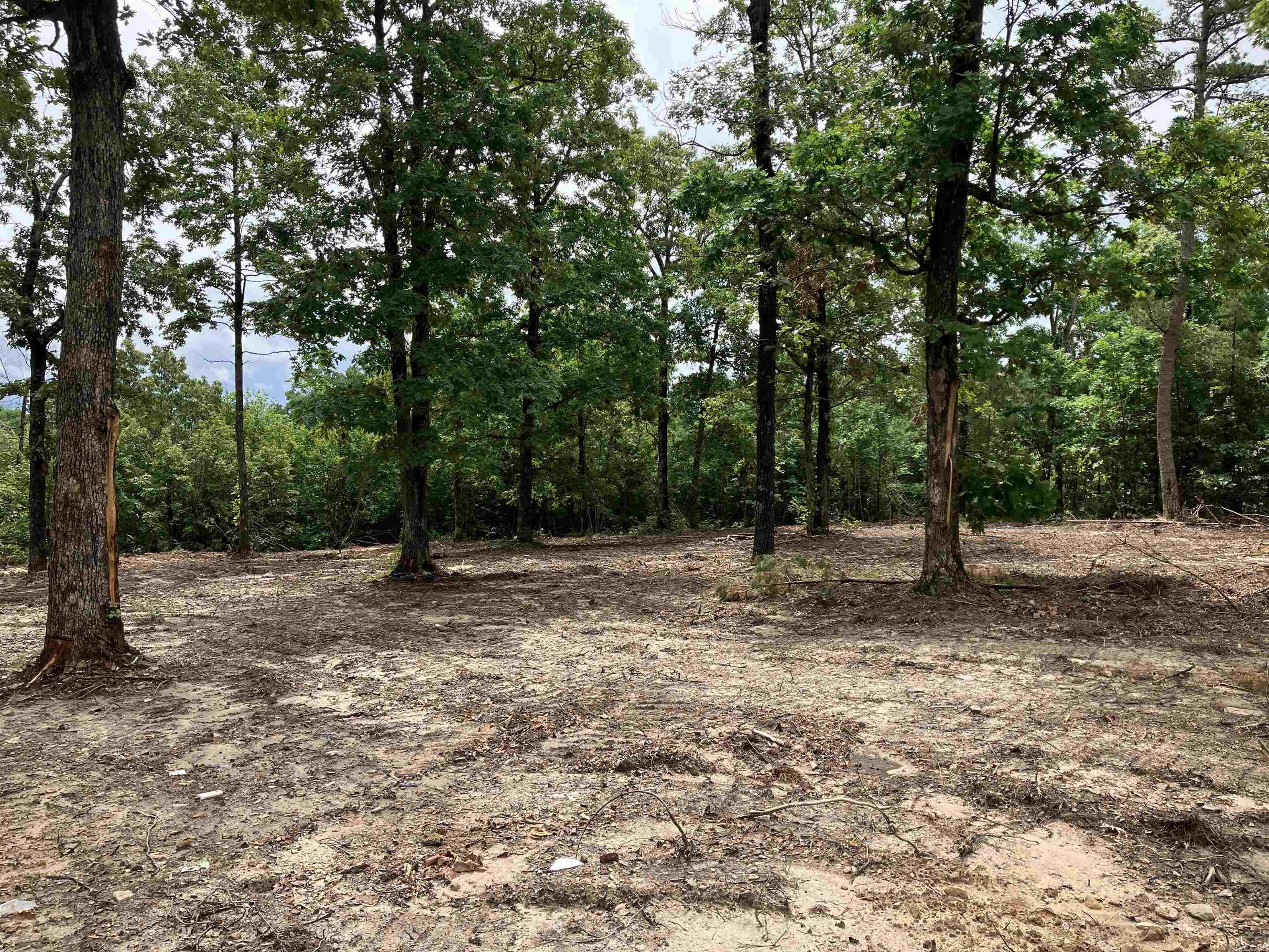 533 Eagle View  Clinton, AR