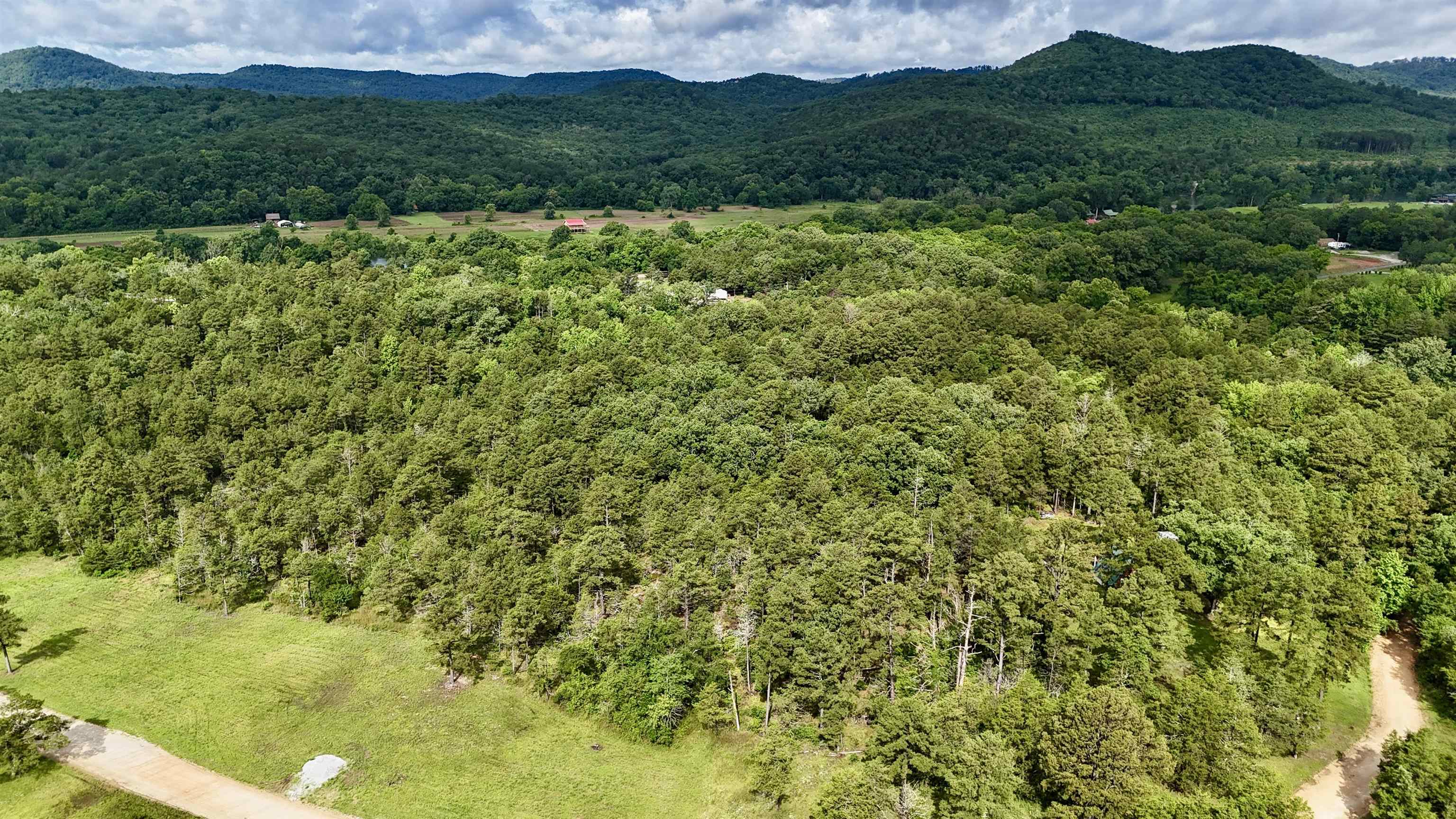 400 Tree Farm Road  Melbourne, AR