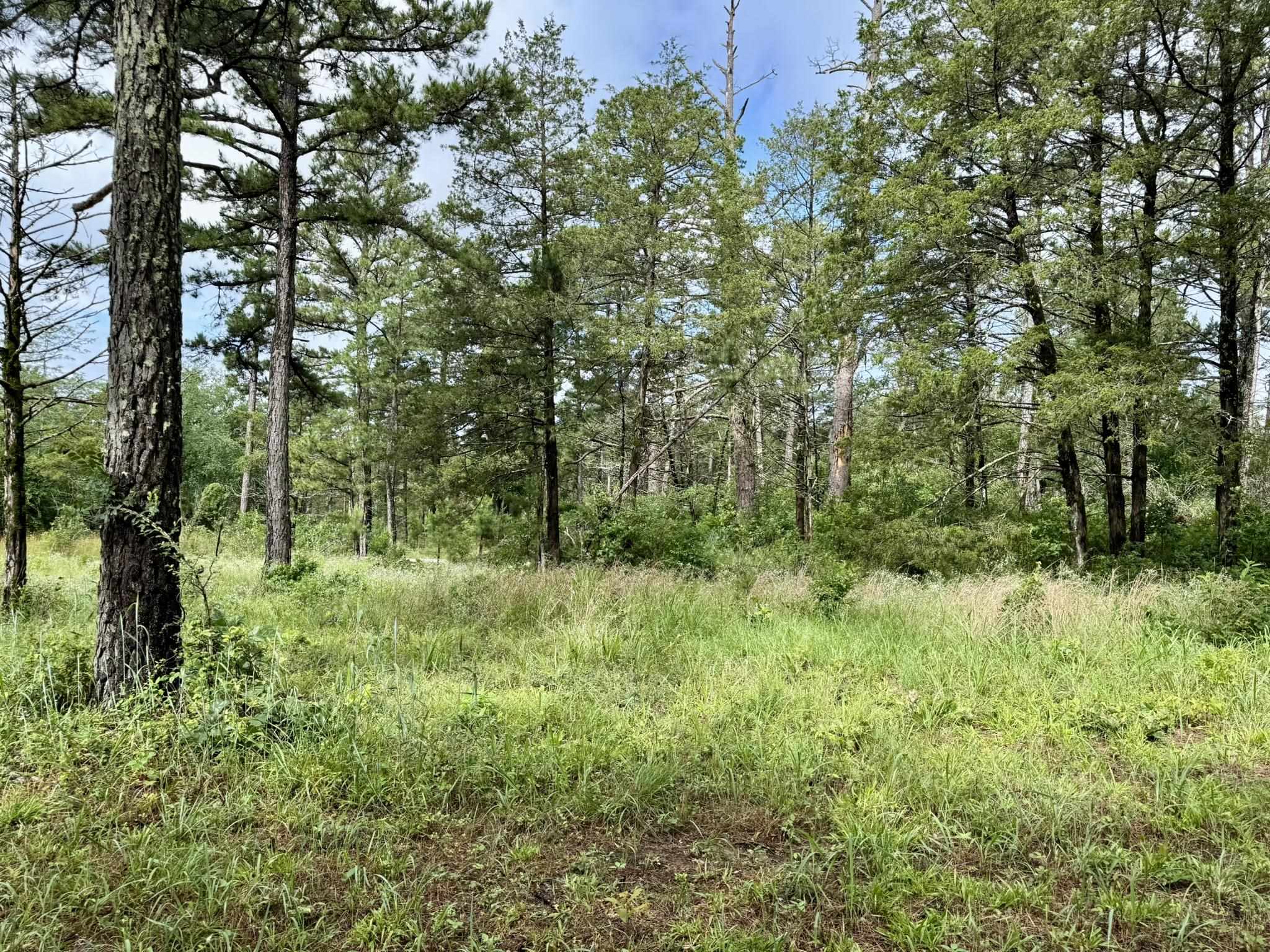 400 Tree Farm Road  Melbourne, AR