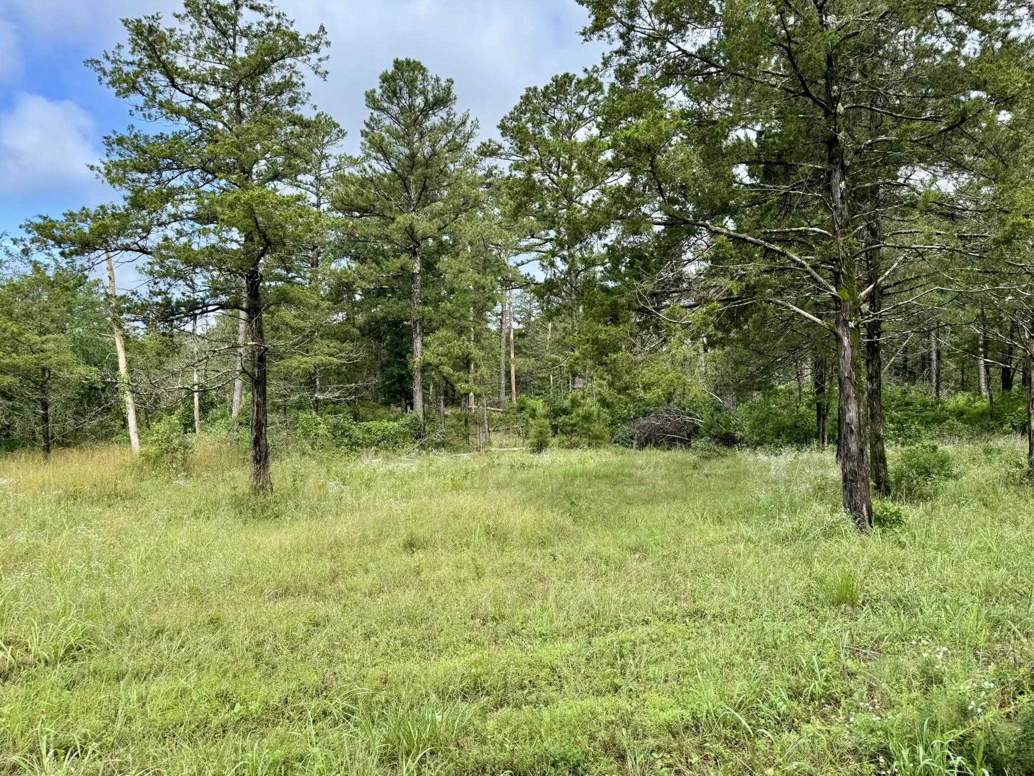 400 Tree Farm Road  Melbourne, AR
