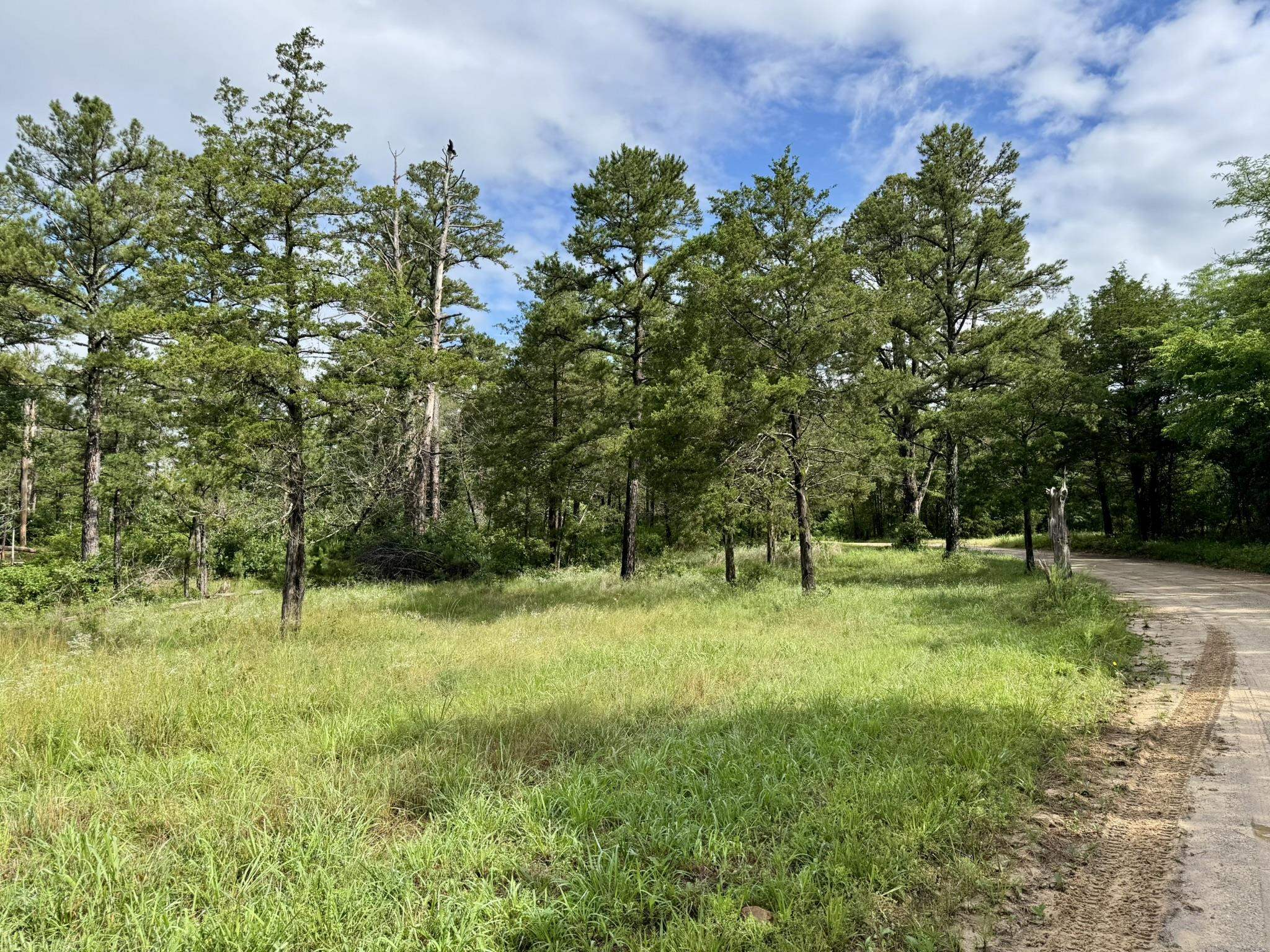 400 Tree Farm Road  Melbourne, AR