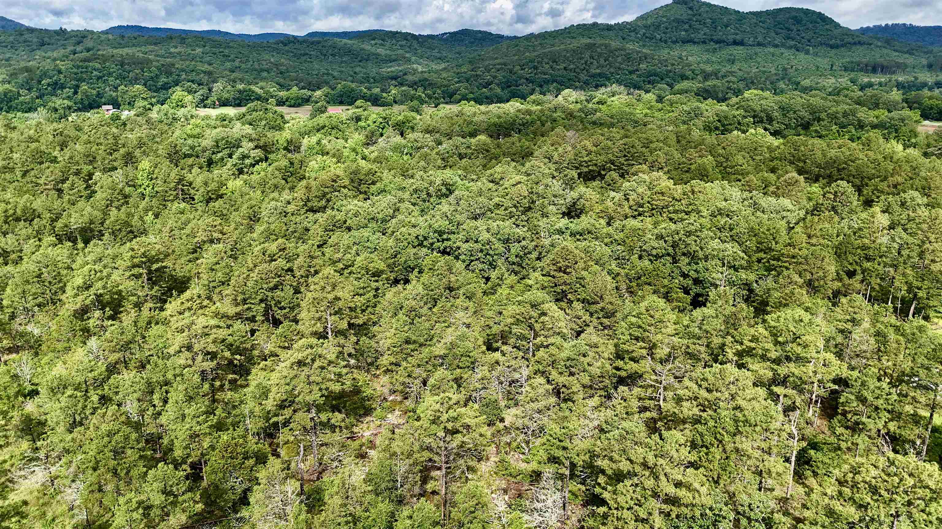 400 Tree Farm Road  Melbourne, AR