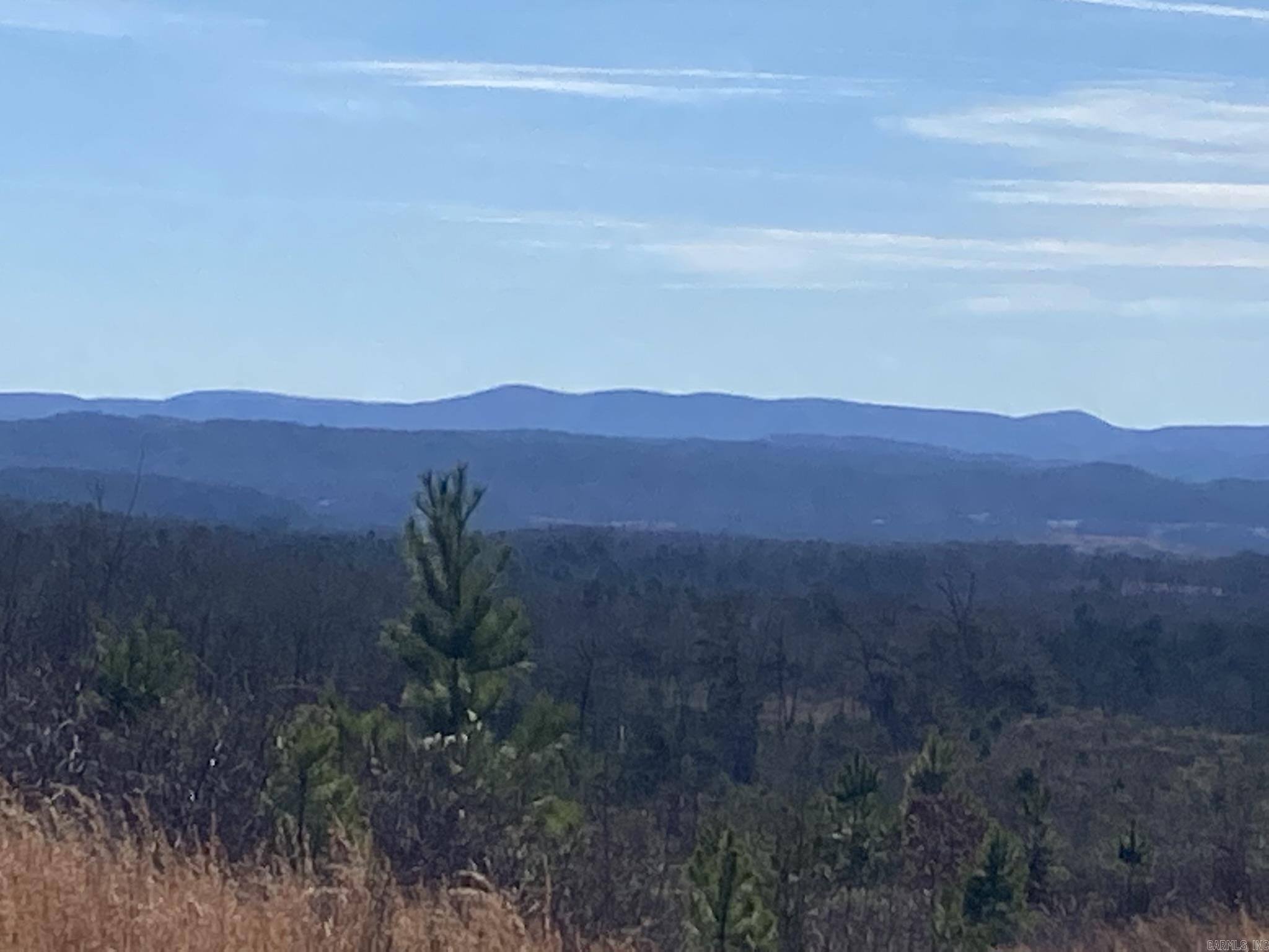 Unk Polk Road 72  Mena, AR