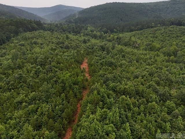 Unk Polk Road 72  Mena, AR