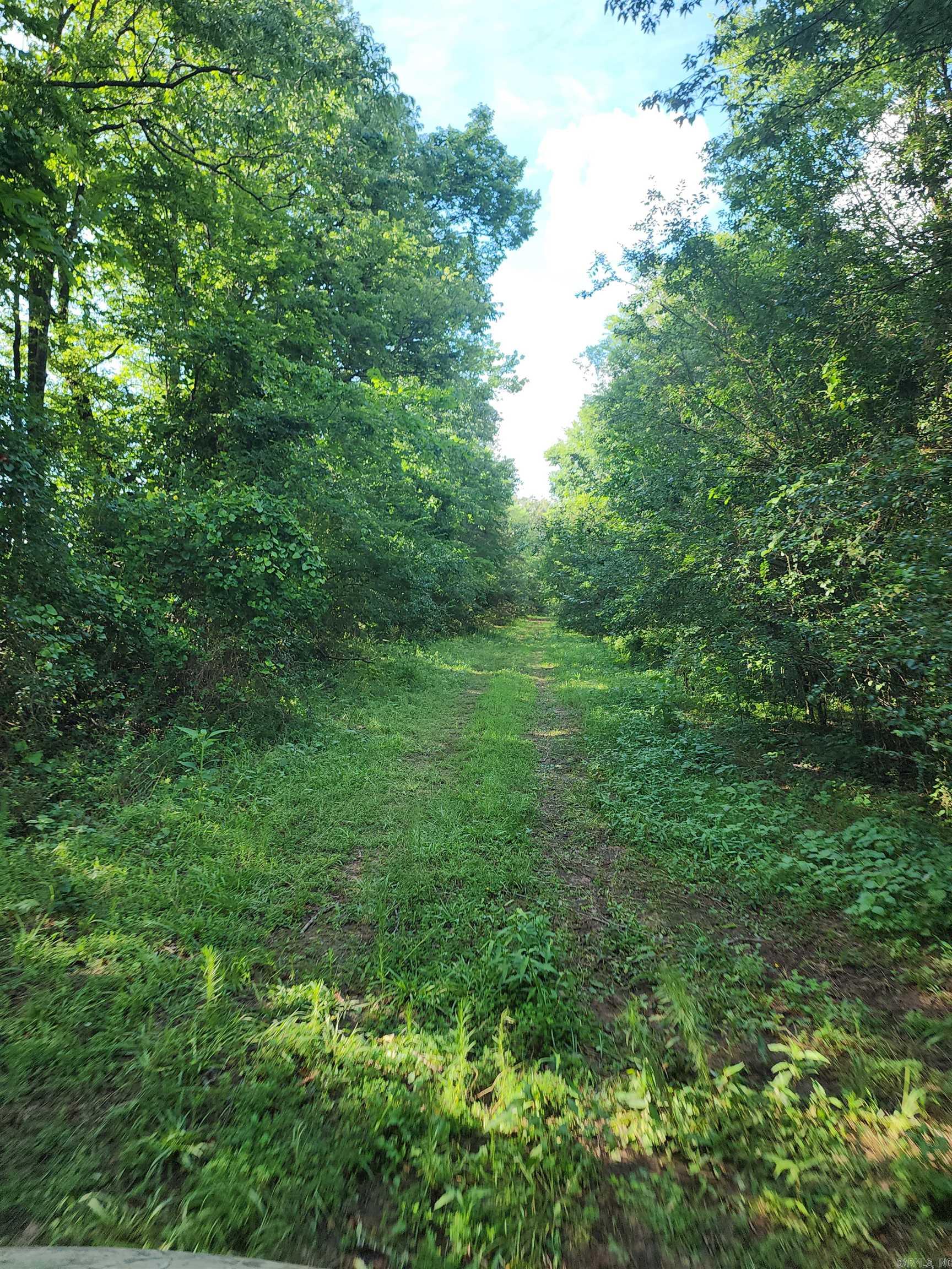 Unk Polk Road 72  Mena, AR