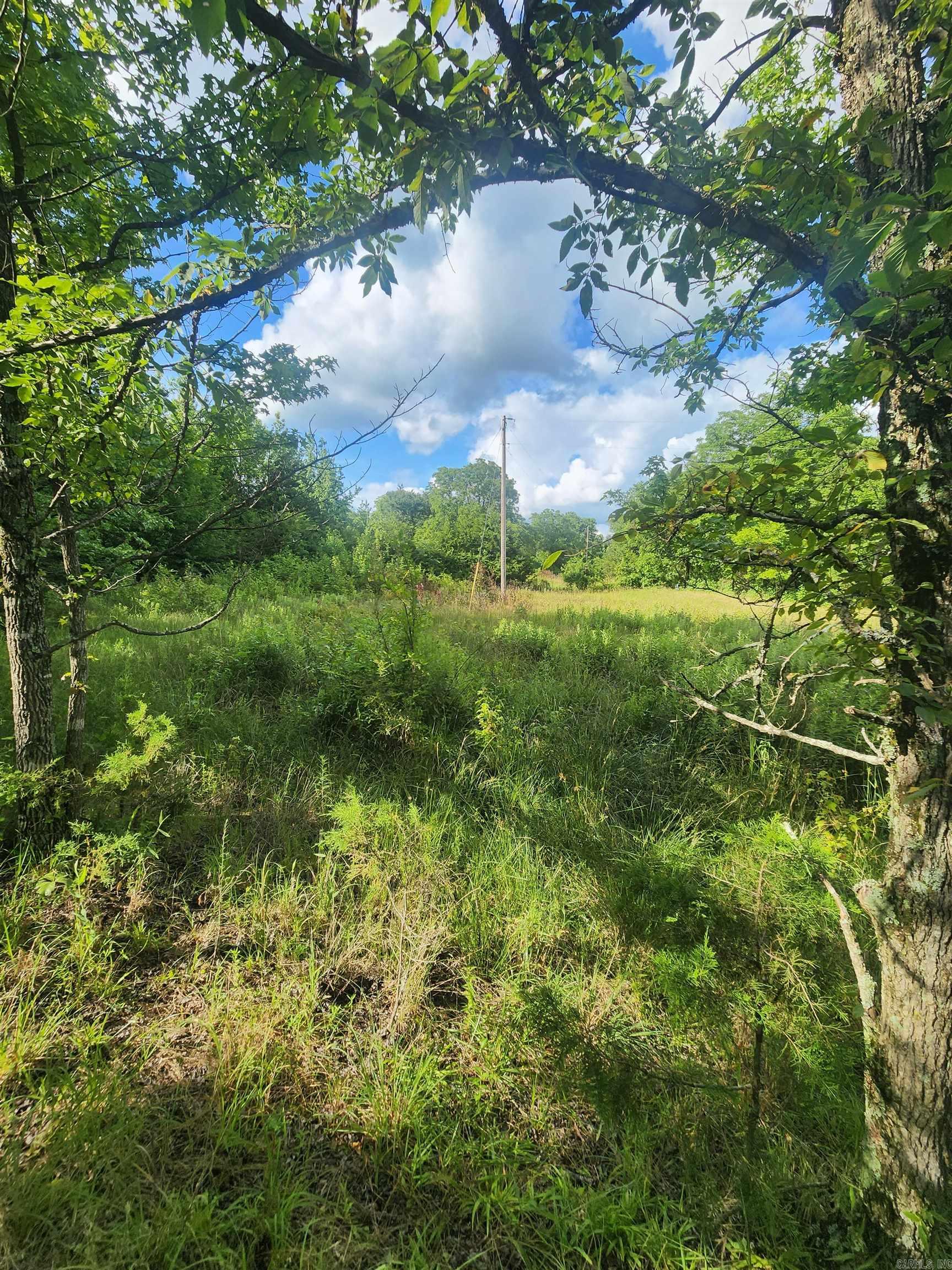 Unk Polk Road 72  Mena, AR