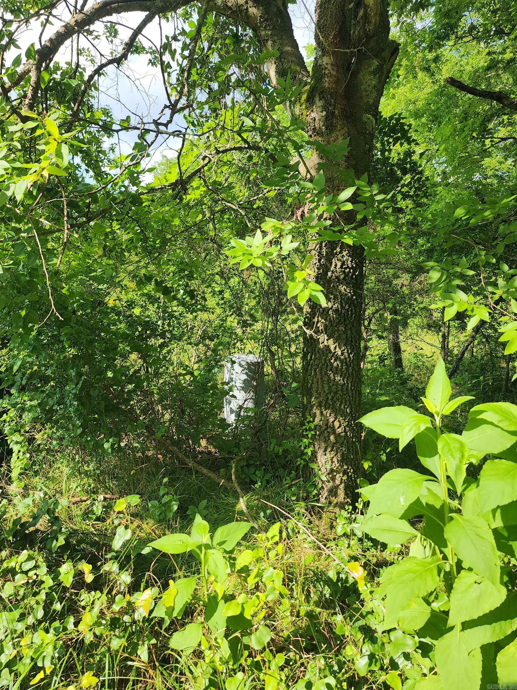 Unk Polk Road 72  Mena, AR