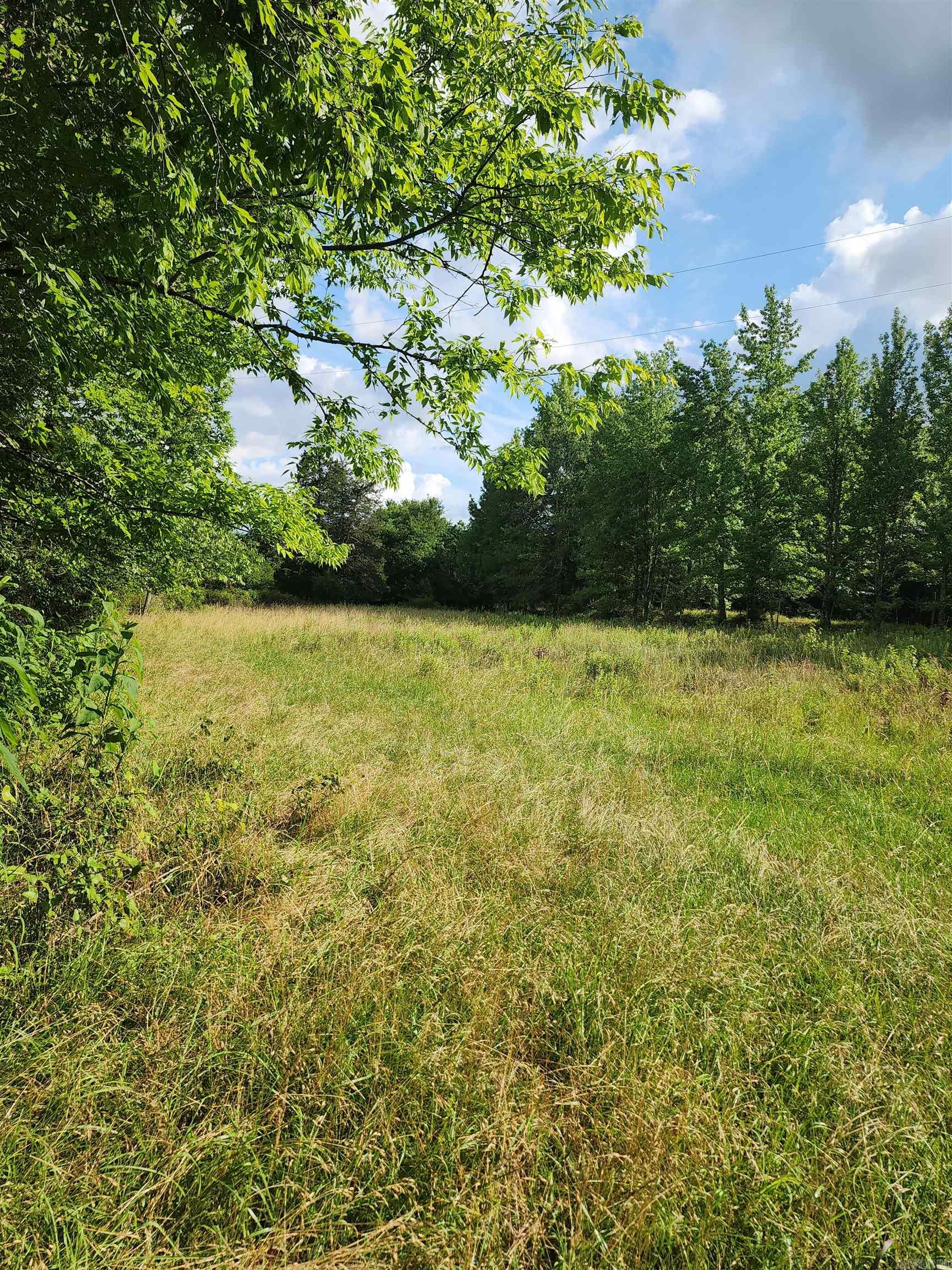 Unk Polk Road 72  Mena, AR