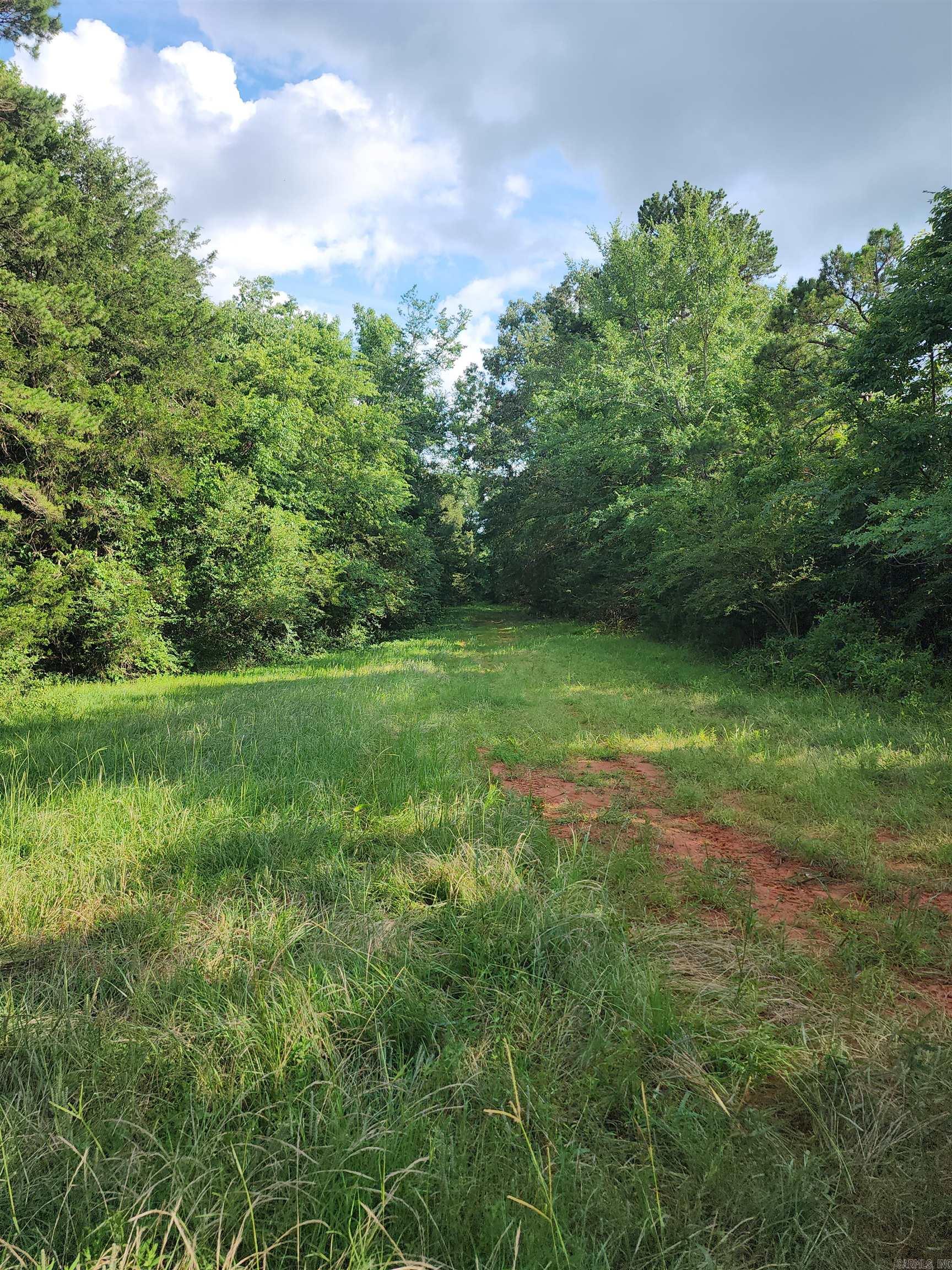 Unk Polk Road 72  Mena, AR