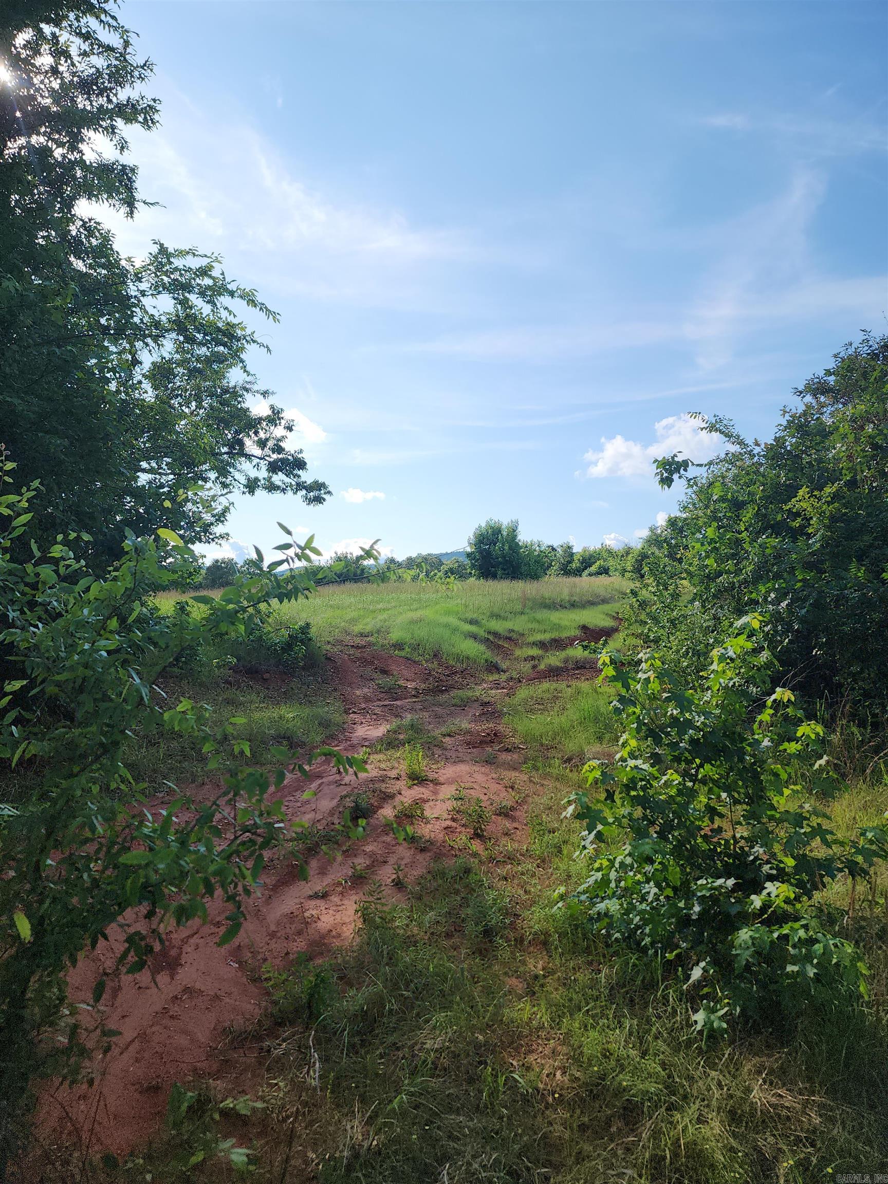 Unk Polk Road 72  Mena, AR