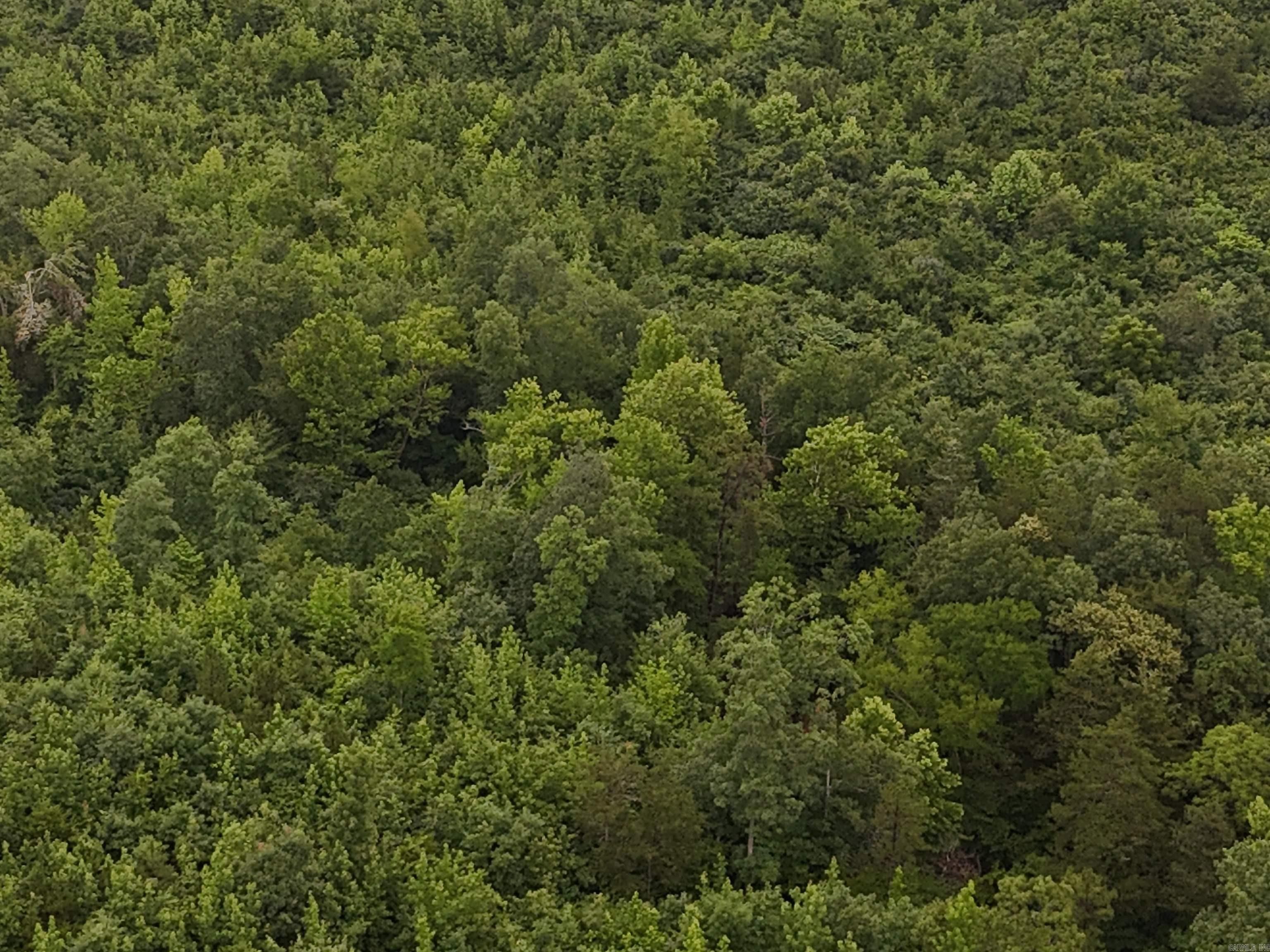 Unk Polk Road 72  Mena, AR
