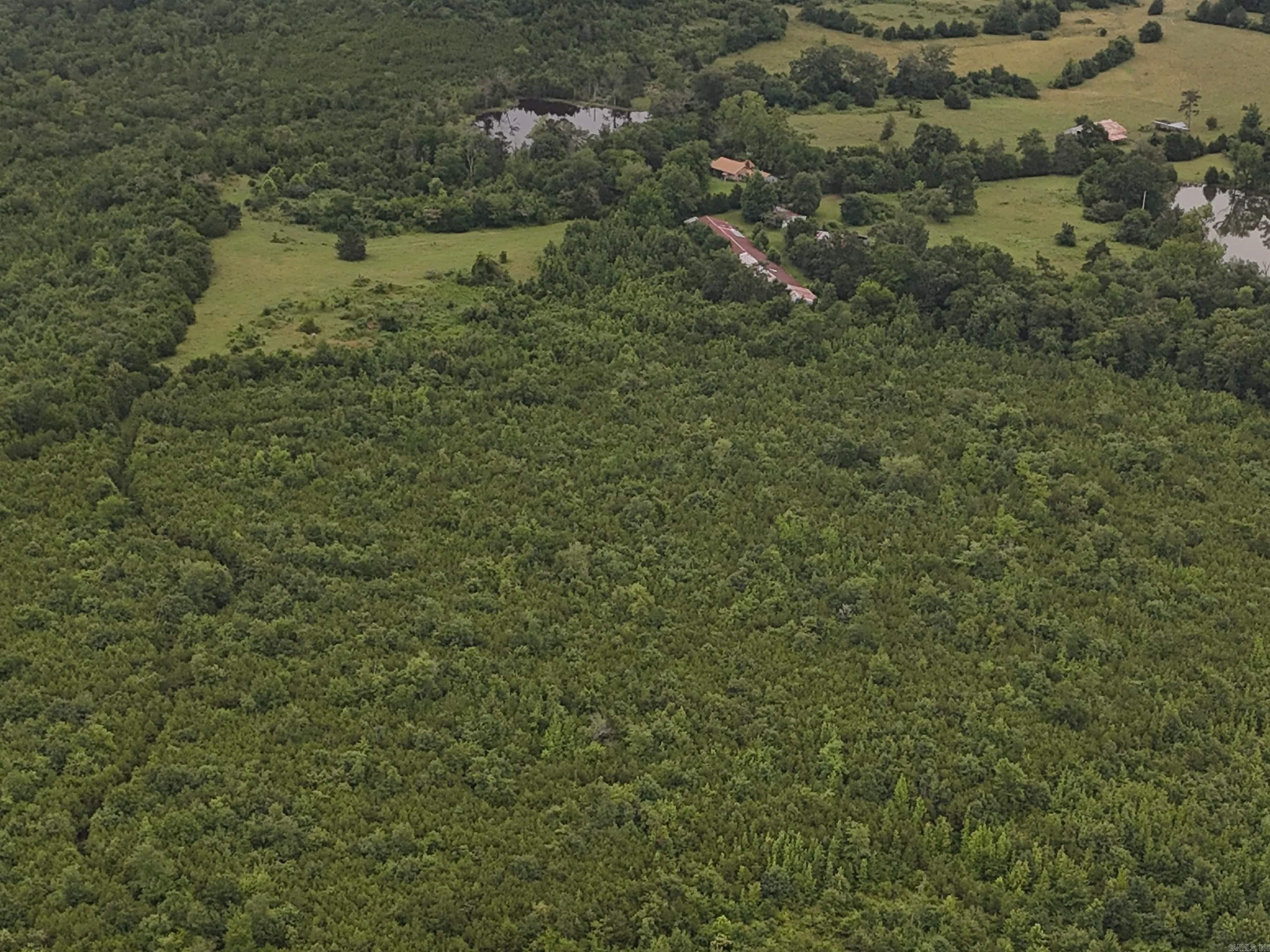 Unk Polk Road 72  Mena, AR