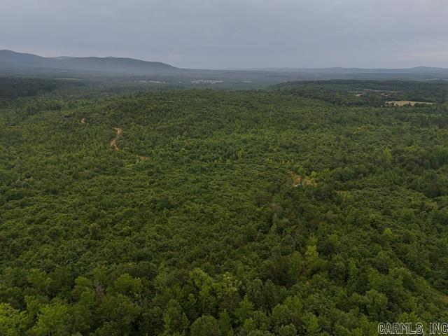 Unk Polk Road 72  Mena, AR