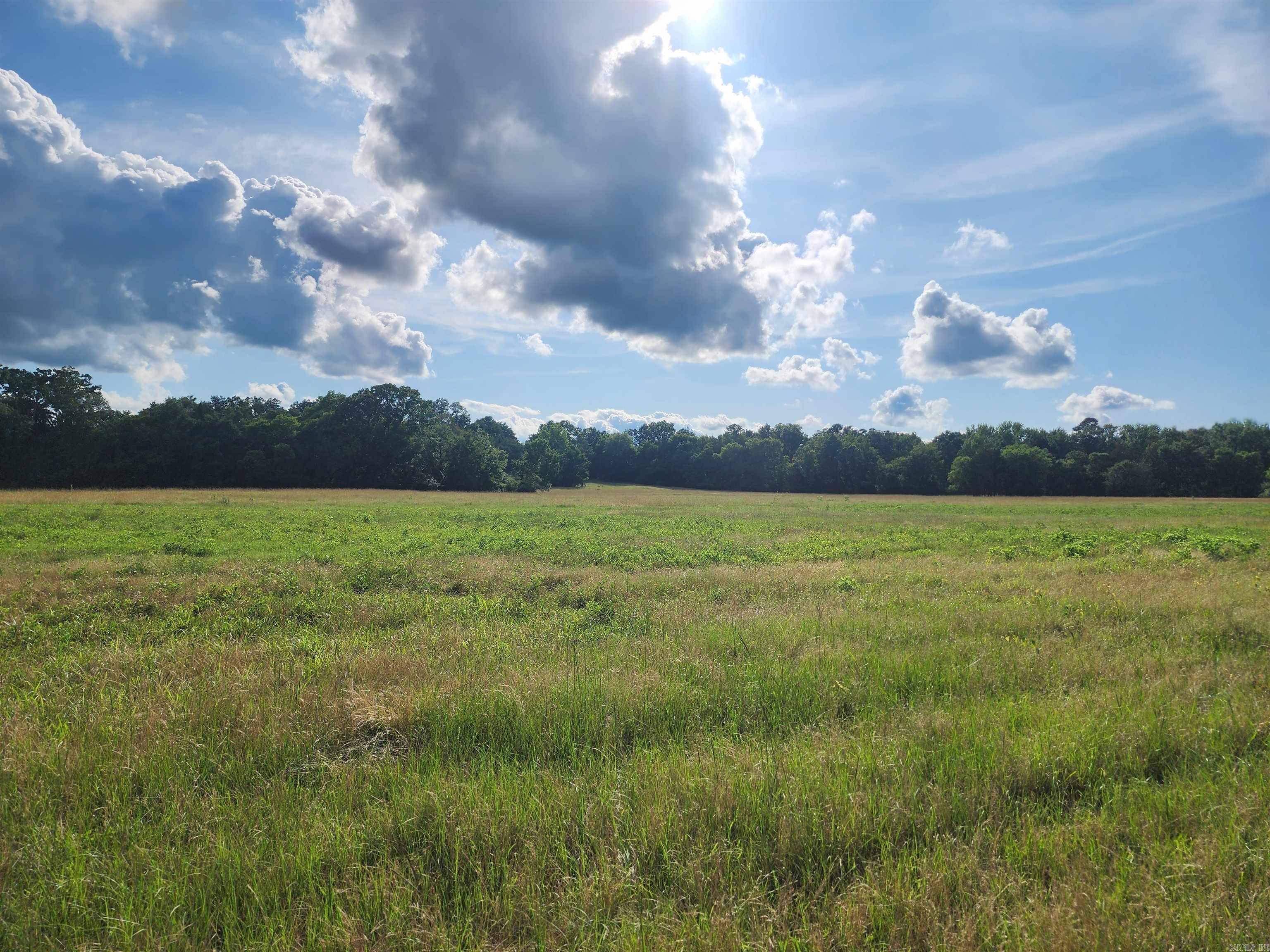 Unk Polk Road 72  Mena, AR
