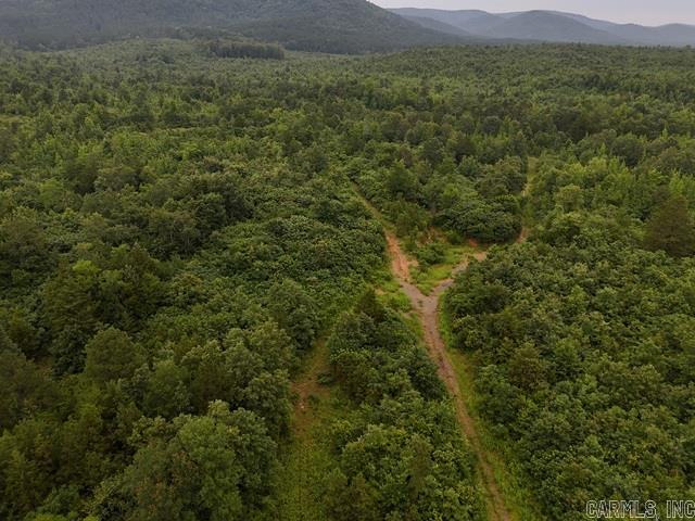 Unk Polk Road 72  Mena, AR
