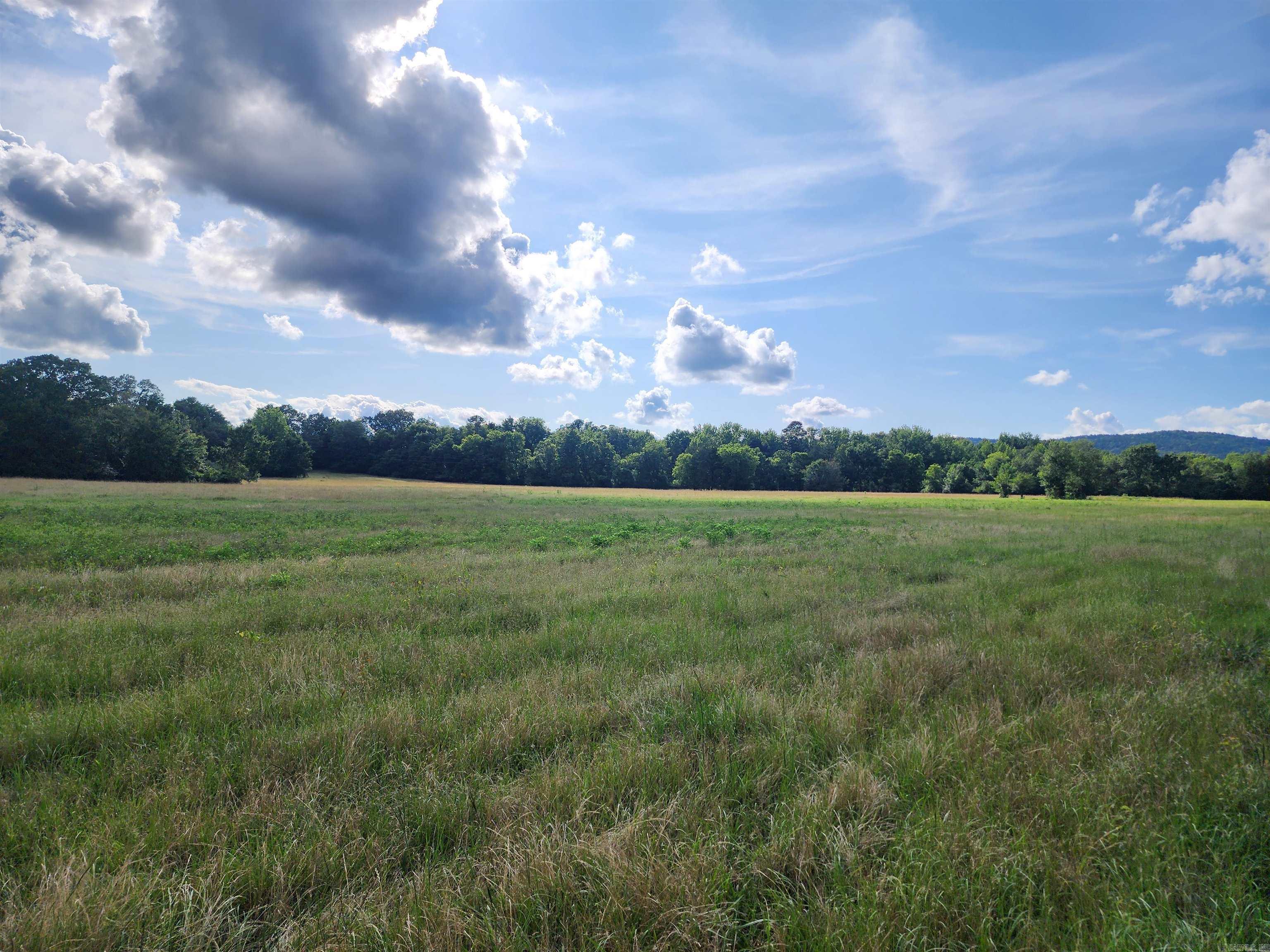 Unk Polk Road 72  Mena, AR