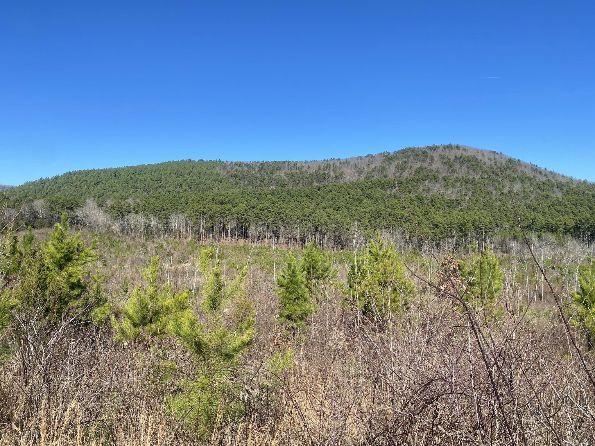 Unk Polk Road 72  Mena, AR